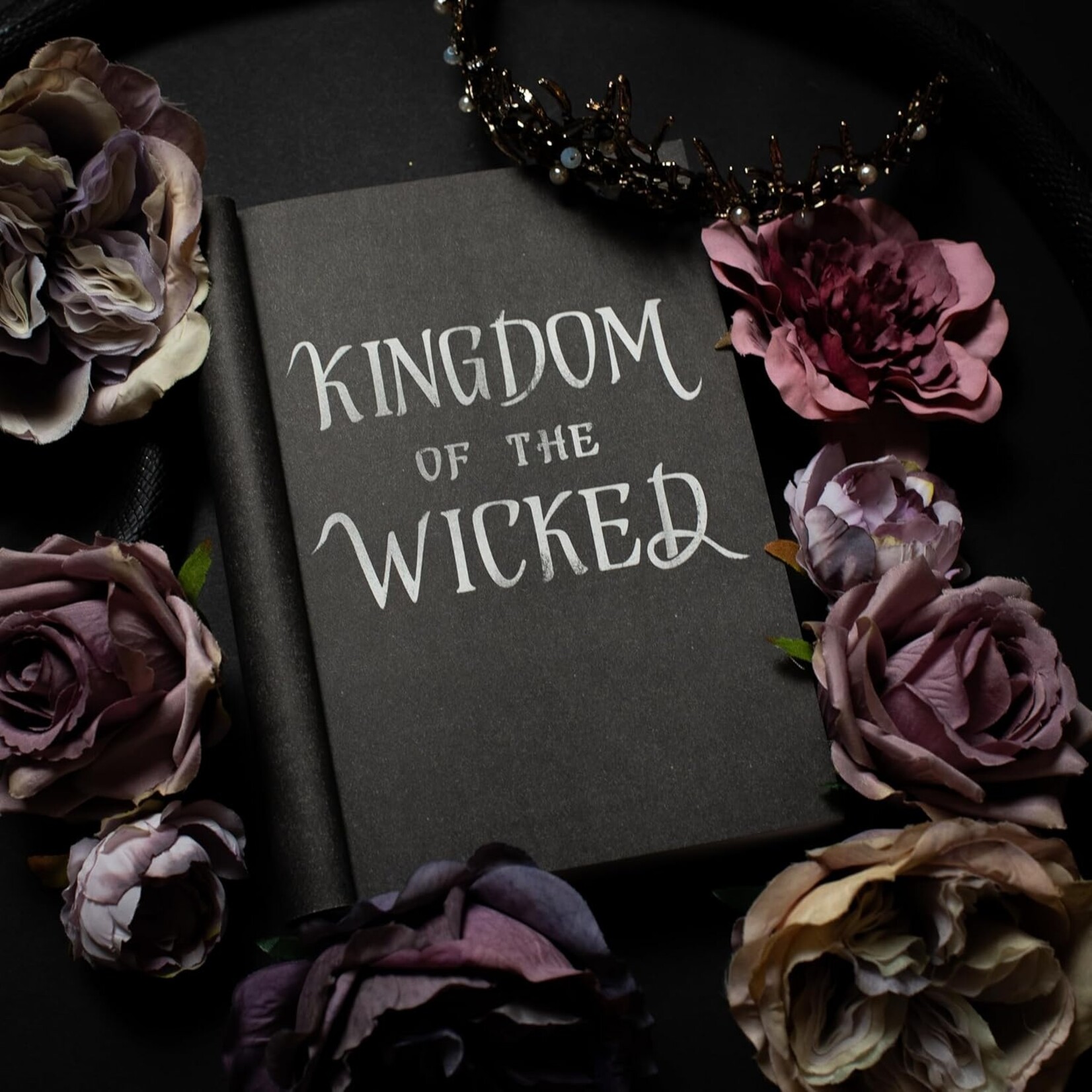 Jimmy Patterson Kingdom of the Wicked