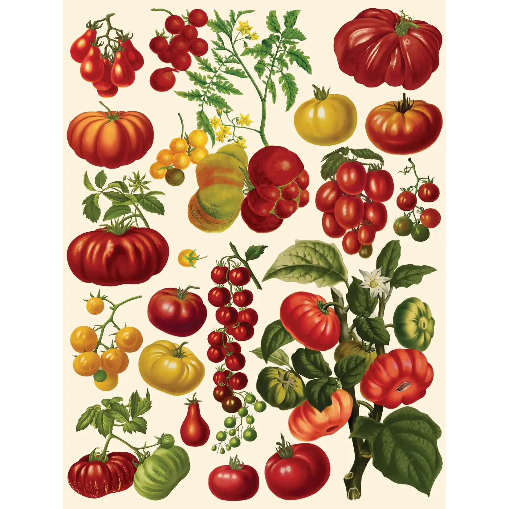 Tomatoes - 500 Piece Puzzle