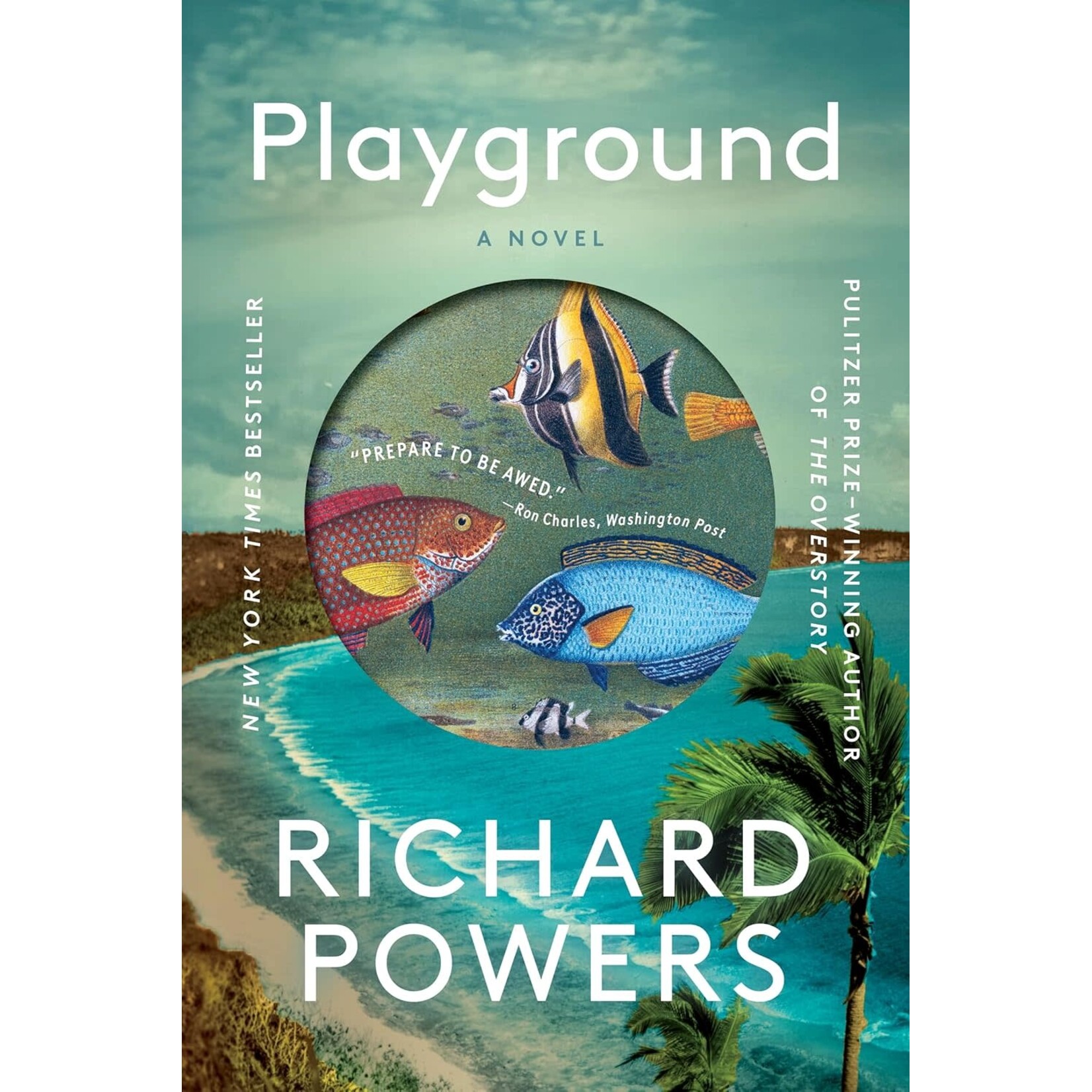 Playground: A Novel
