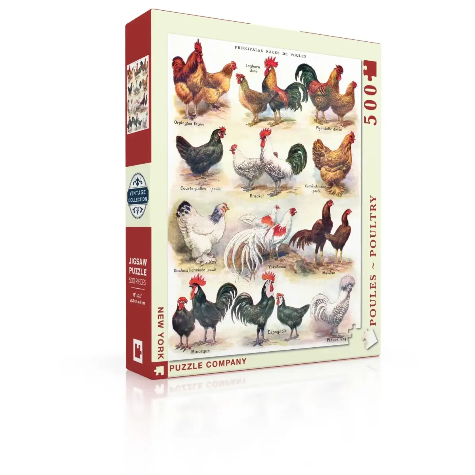 Poules ~ Poultry - 500 Piece Puzzle