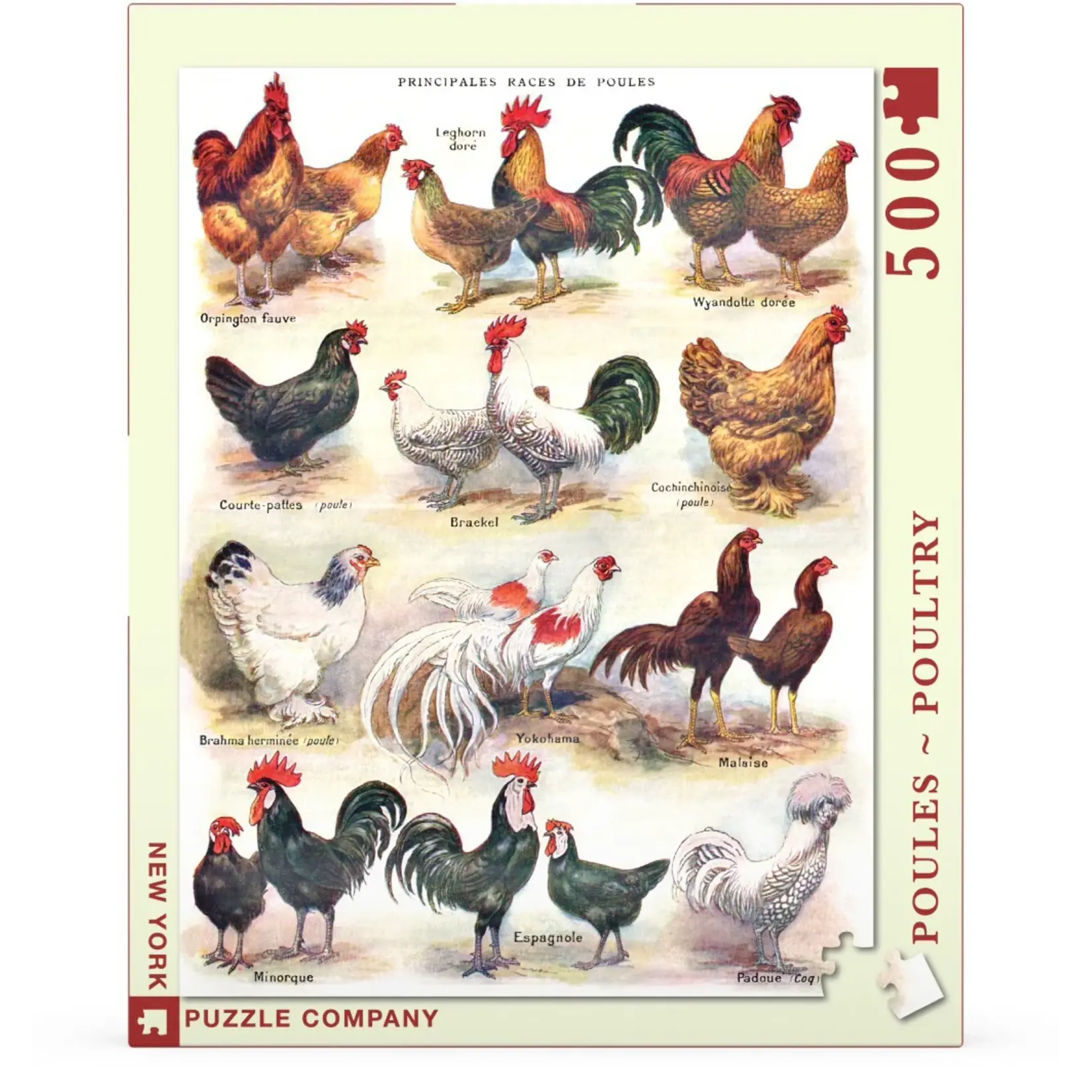 Poules ~ Poultry - 500 Piece Puzzle