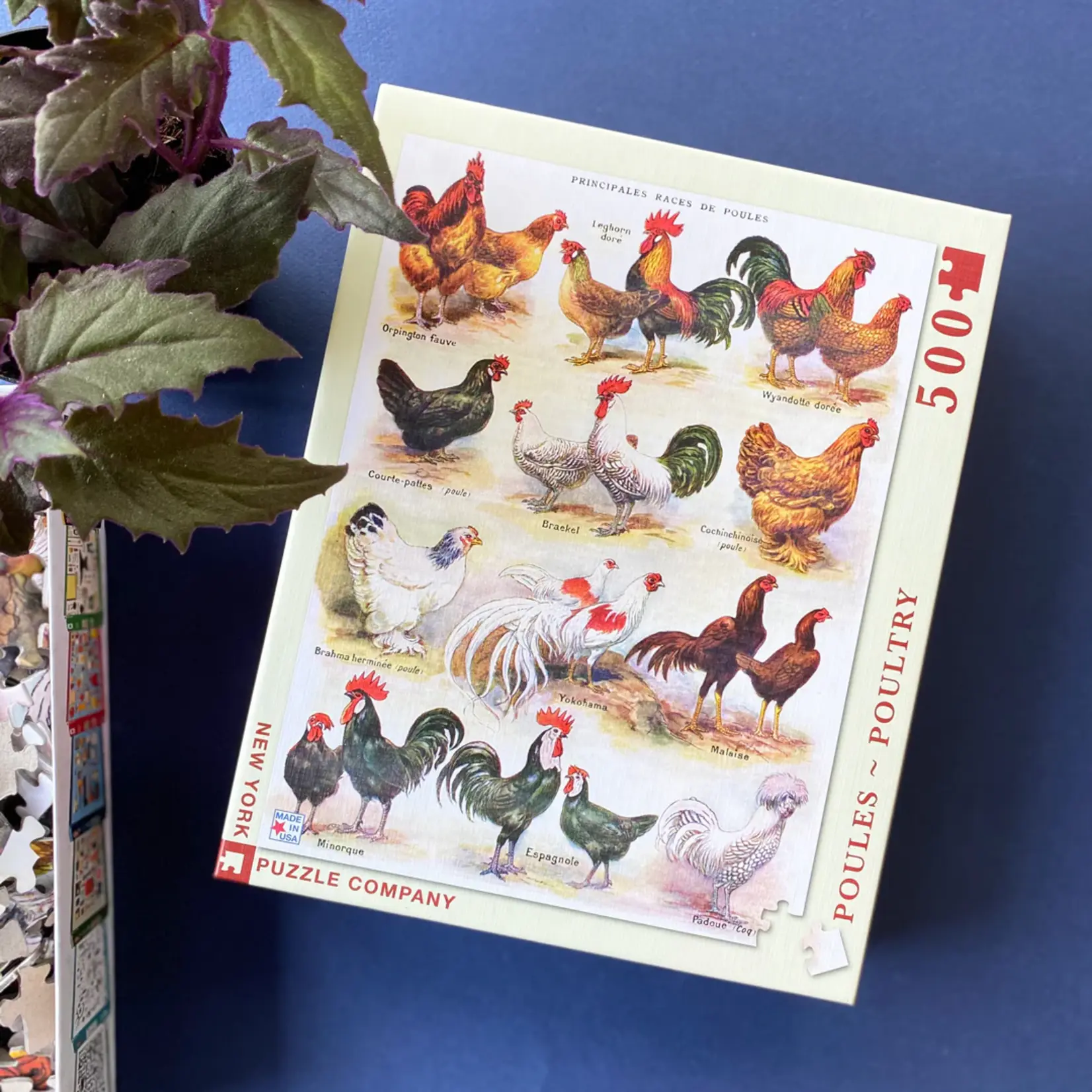 Poules ~ Poultry - 500 Piece Puzzle