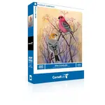 Pine Grosbeaks - 500 Piece Puzzle