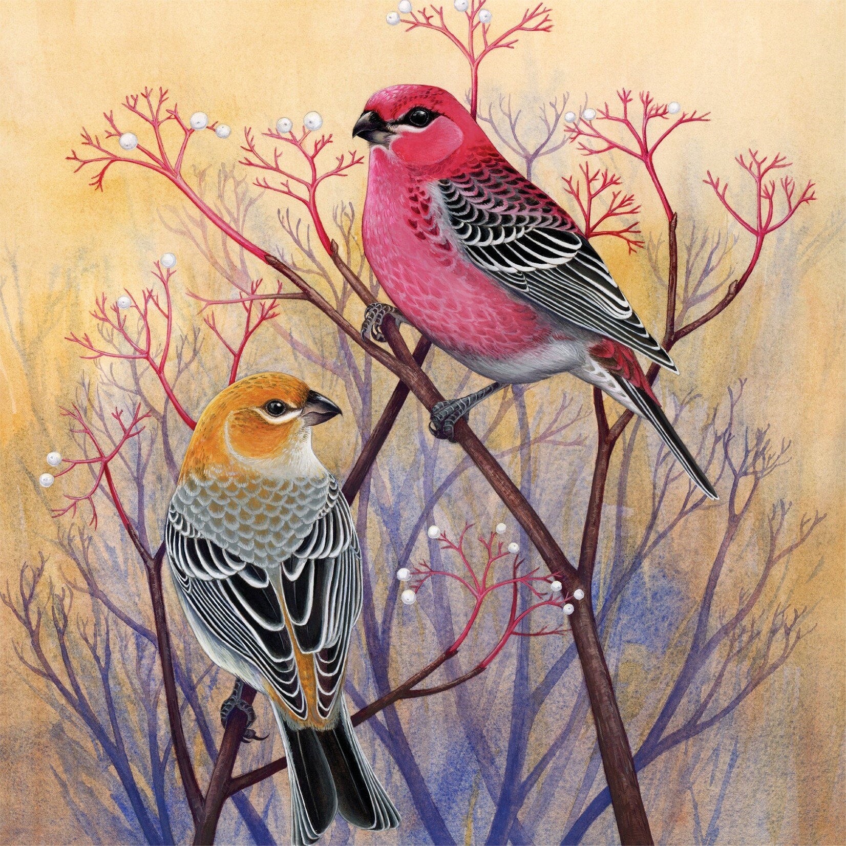 Pine Grosbeaks - 500 Piece Puzzle