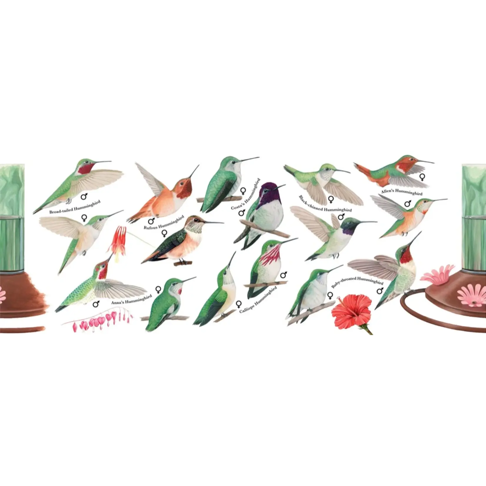 Hummingbirds - 15oz Mug