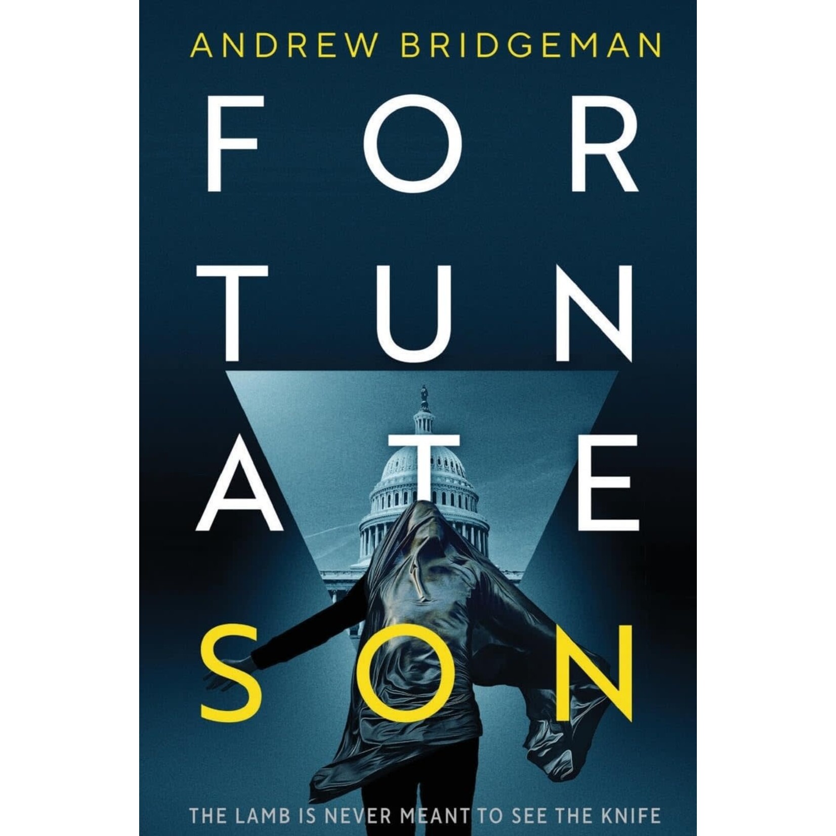 Mission Point Press Fortunate Son (Emma Noble Series #1)