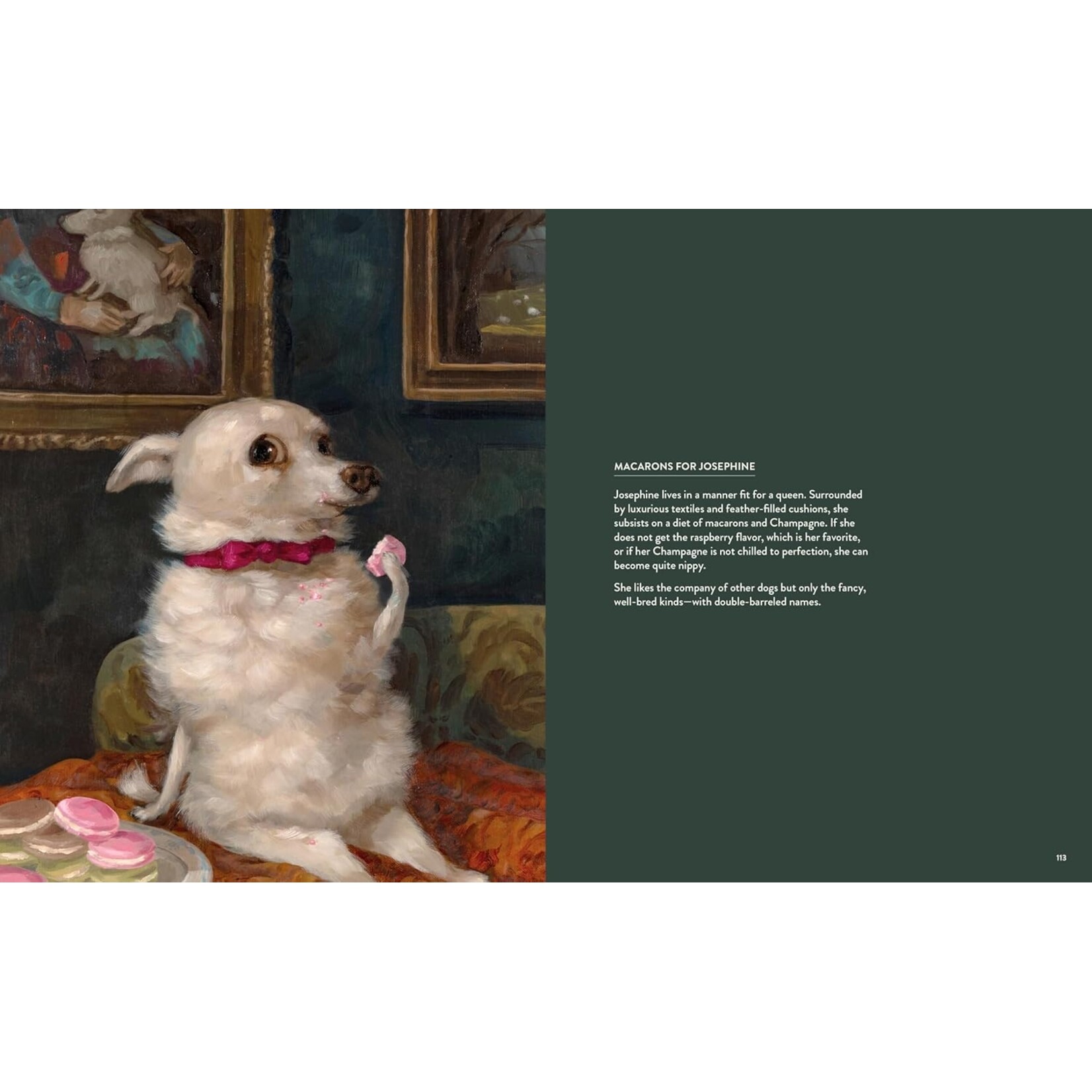 Dog Only Knows: The Dog Portraits of Alison Friend