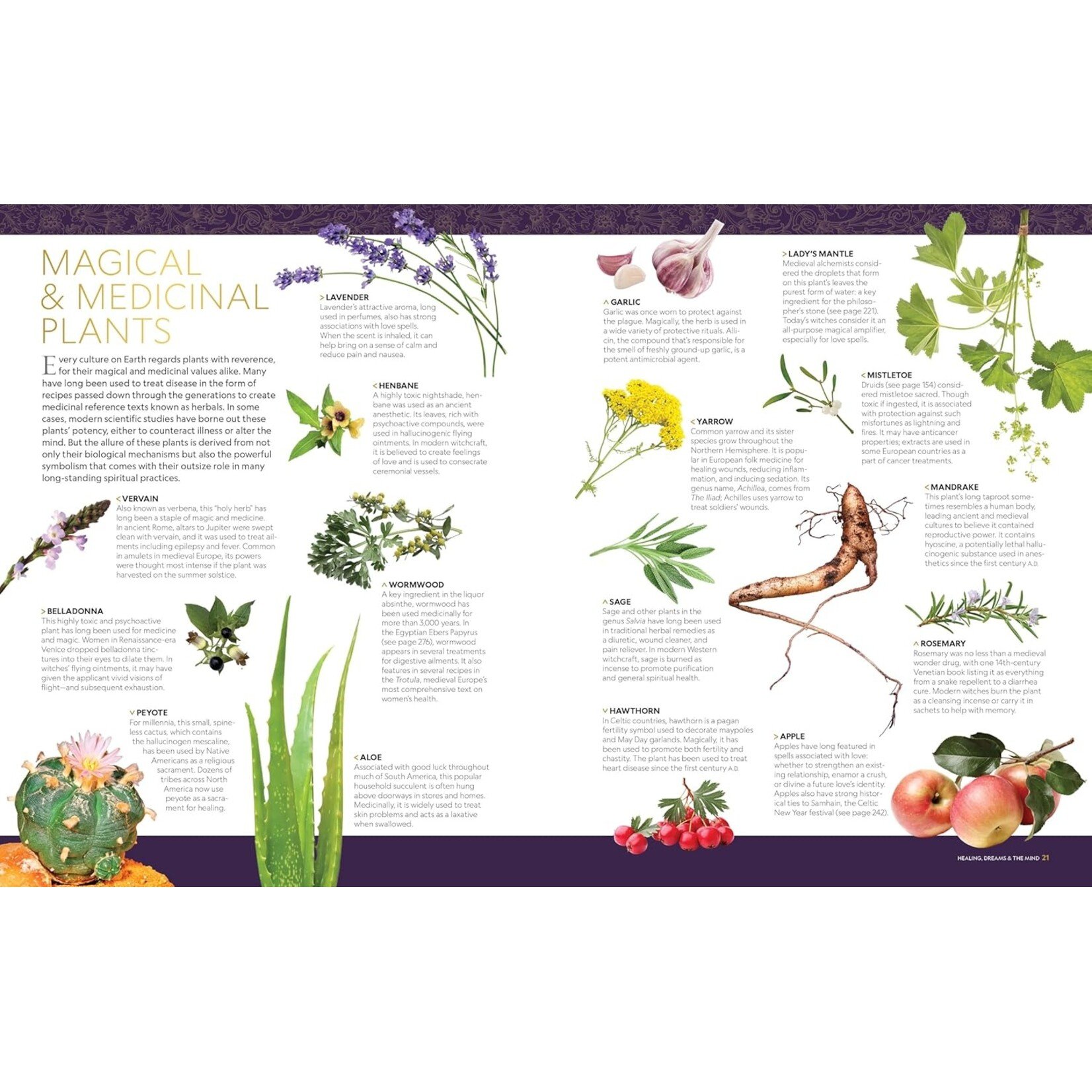 National Geographic's Book of Magic and the Occult: A Visual History