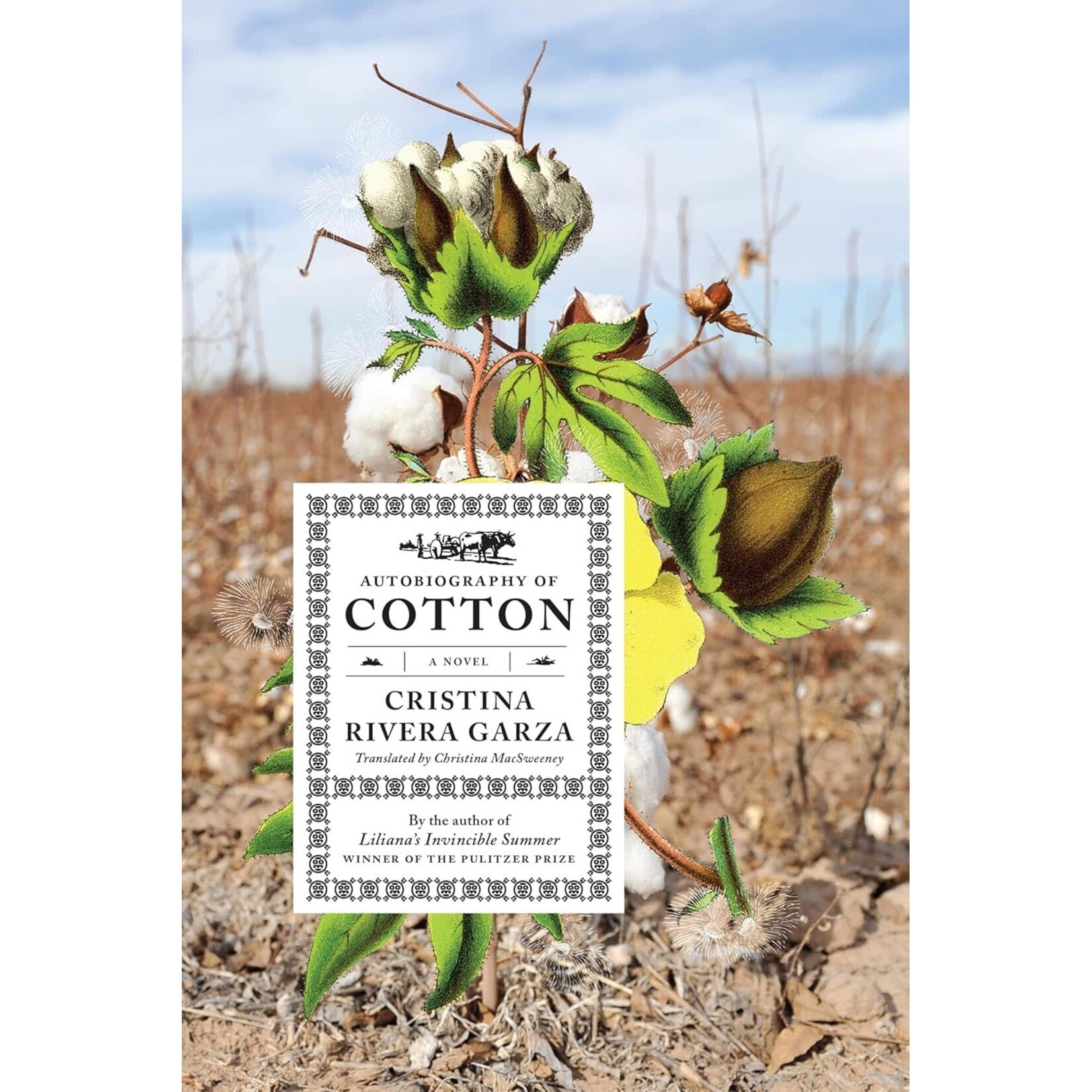 Autobiography of Cotton: A Novel