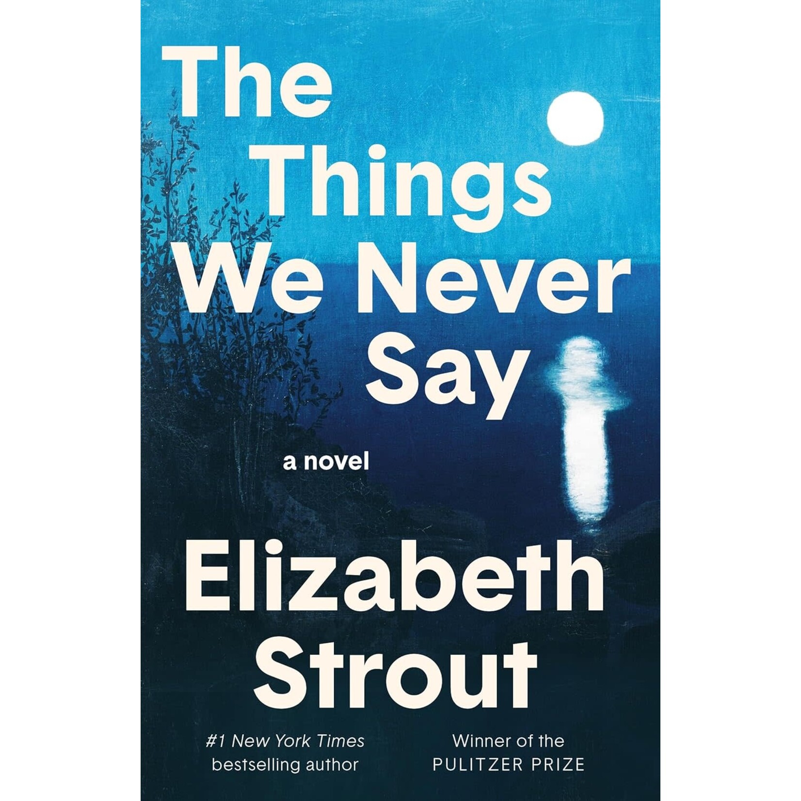 The Things We Never Say: A Novel