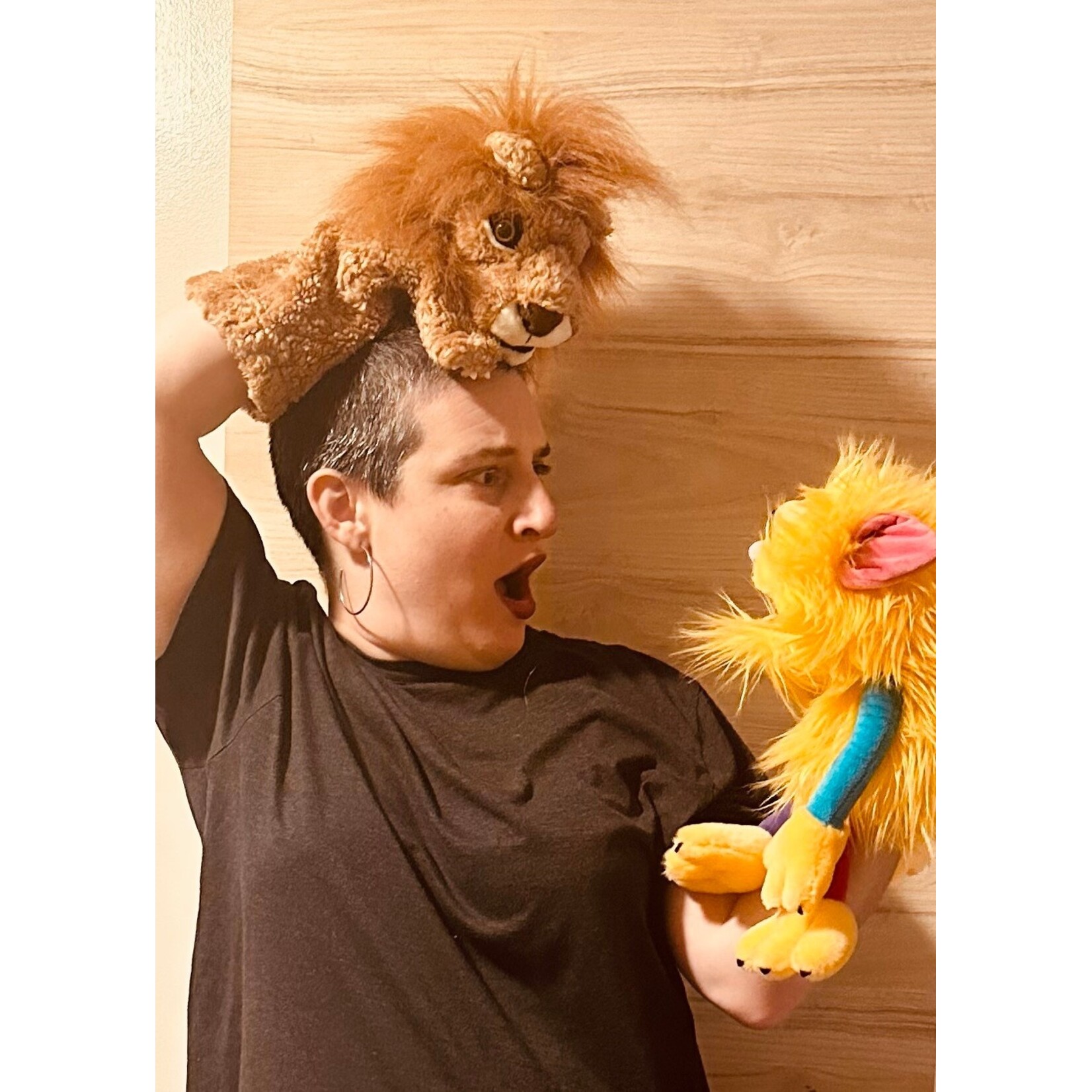 Maxima Hive A Gentle Hour of Stories & Puppets Sat. Jan. 17th from10–11 AM & Sun. Jan 18th from 2–3 PM