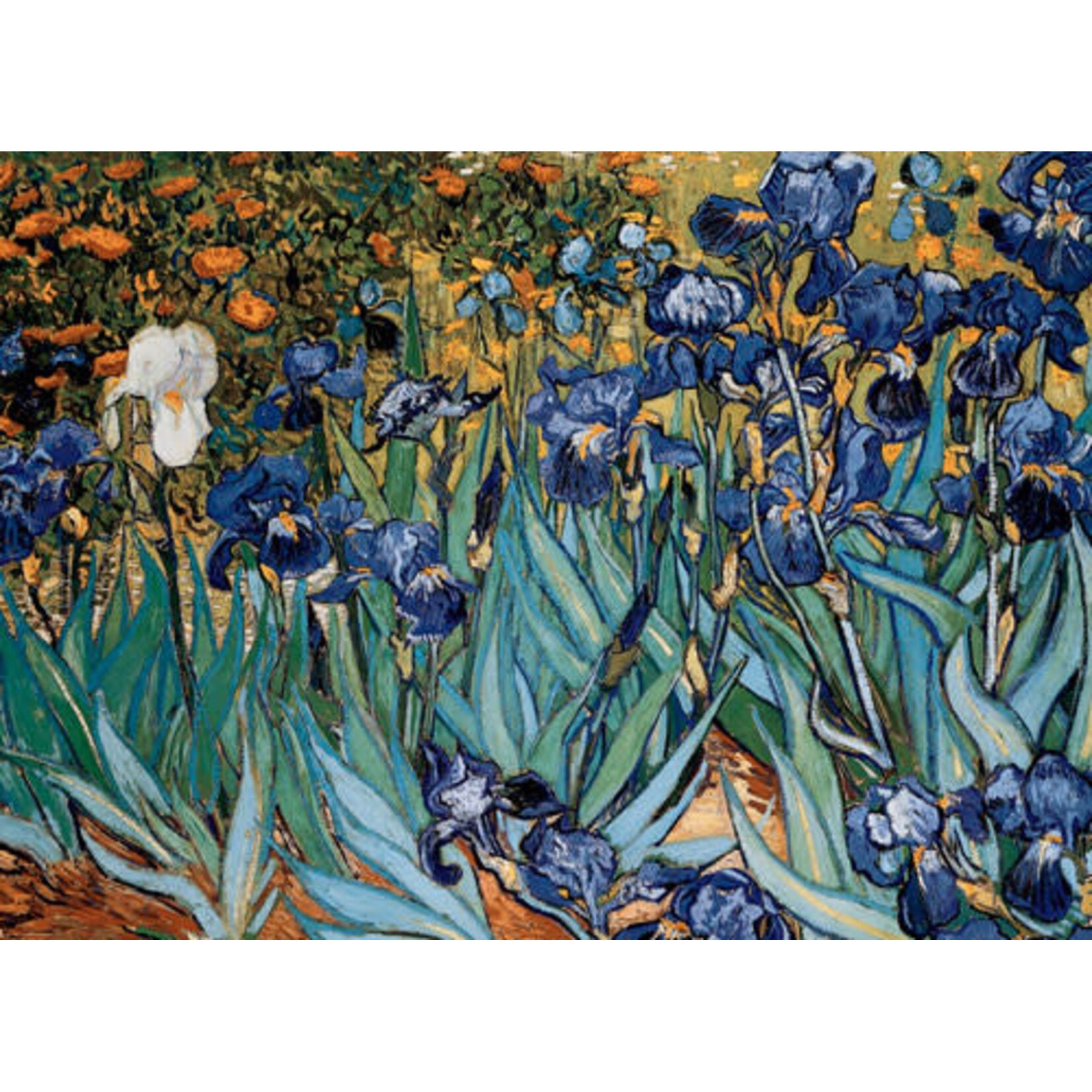 Irises by Vincent Van Gogh 1000 Piece Puzzle