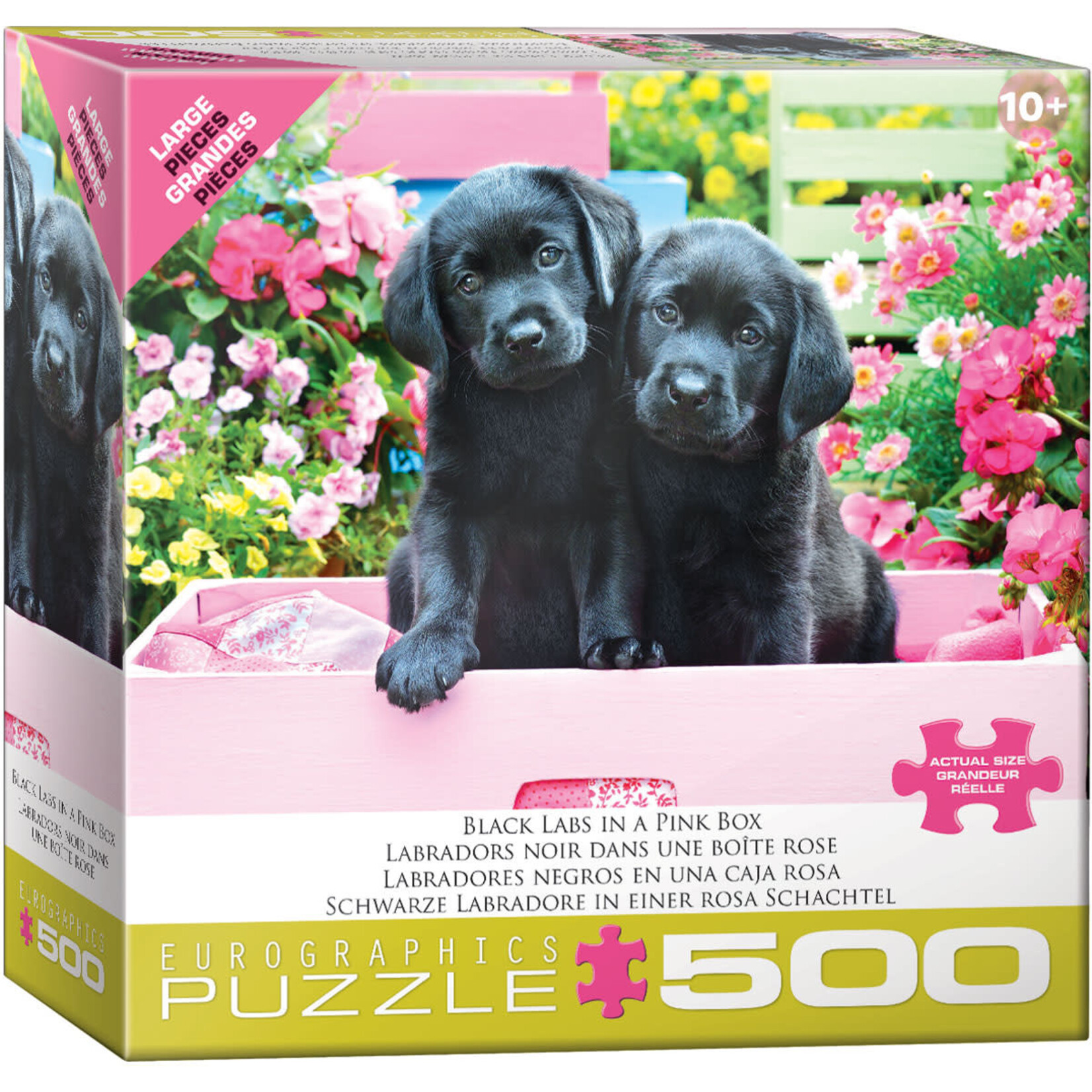 Black Labs in Pink Box 500 Piece Puzzle