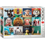 Funny Animals by Lucia Heffernan 1000 Piece Puzzle