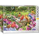 Bird Gathering 2000 Piece Puzzle