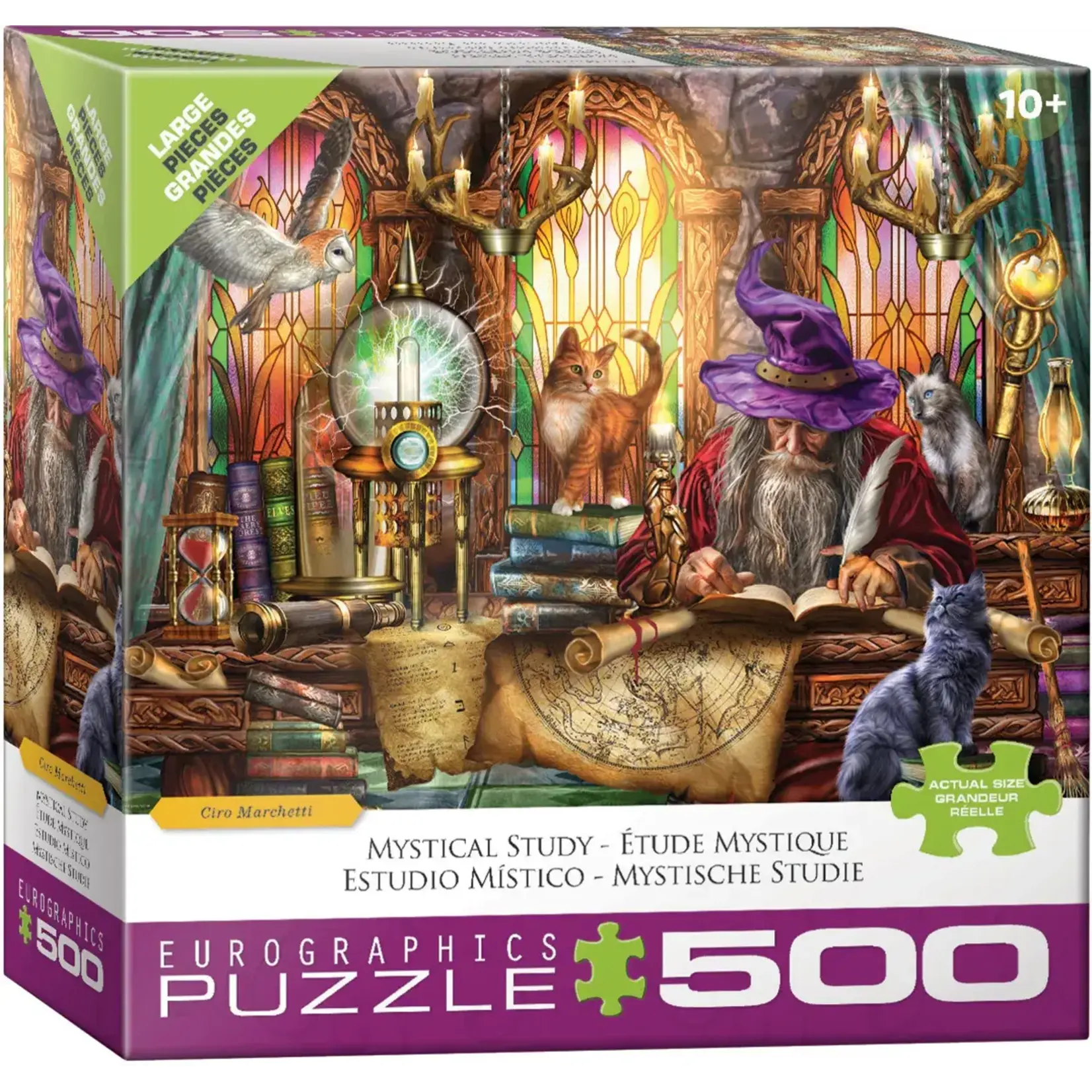 Mystical Study 500 Piece Puzzle