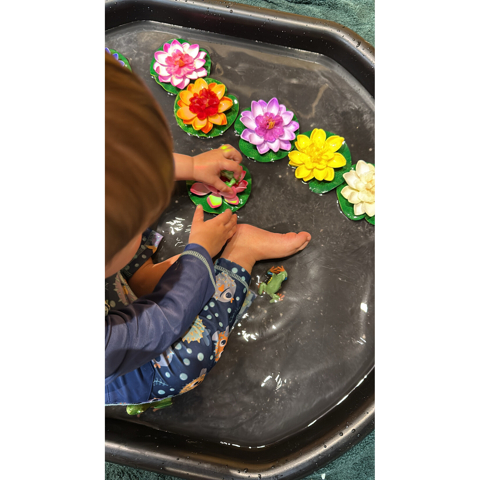 Maxima Hive Sunday, May 3. @ 11 AM Messy Play with Marie