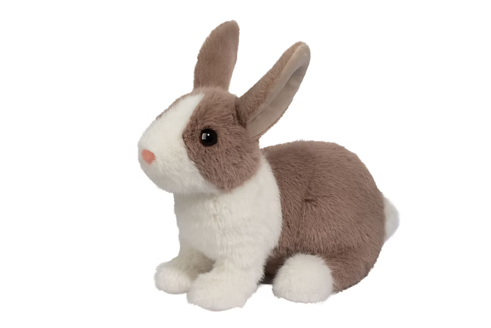 Daffodil Dutch Bunny - Maxima Gift and Book Center