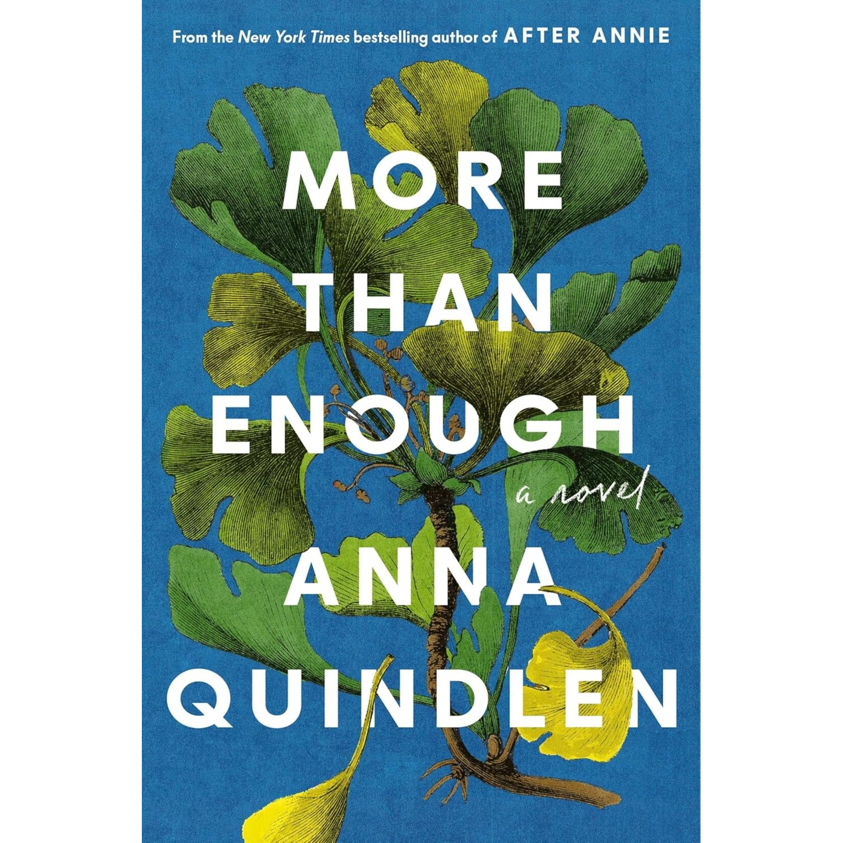 More Than Enough: A Novel