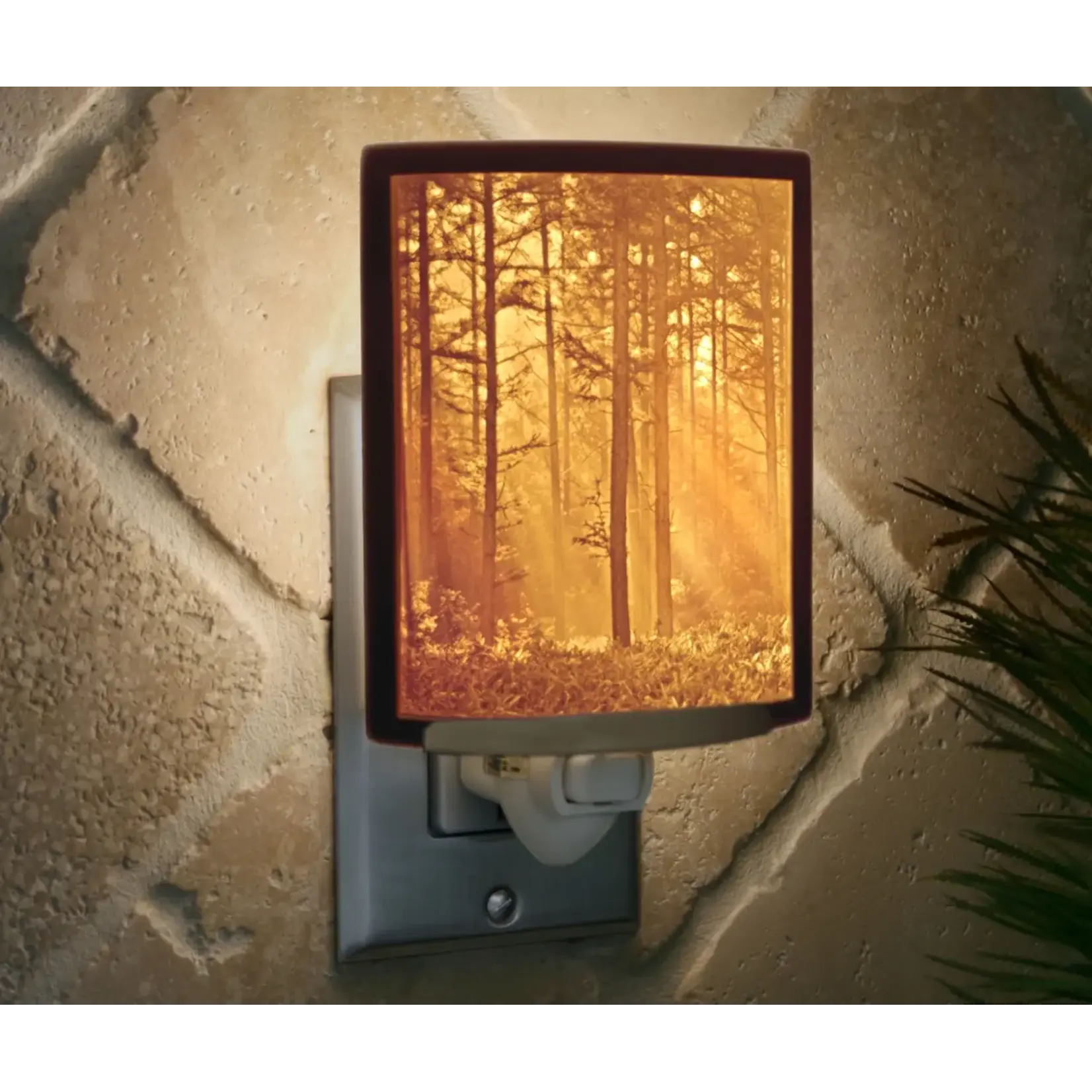 Woodland Sunbeam Curved Night Light