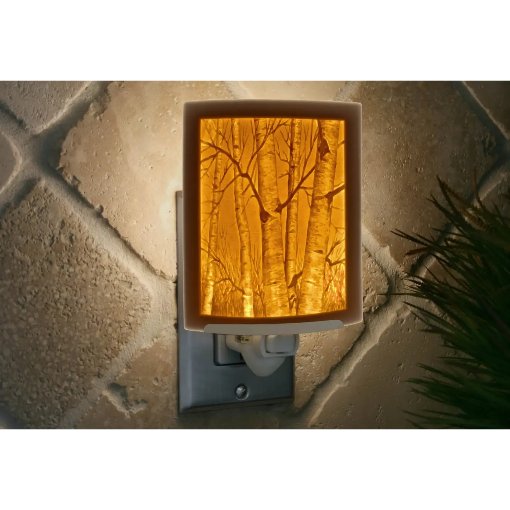 Birch Trees Curved Night Light