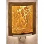 Secret Path Curved Night Light