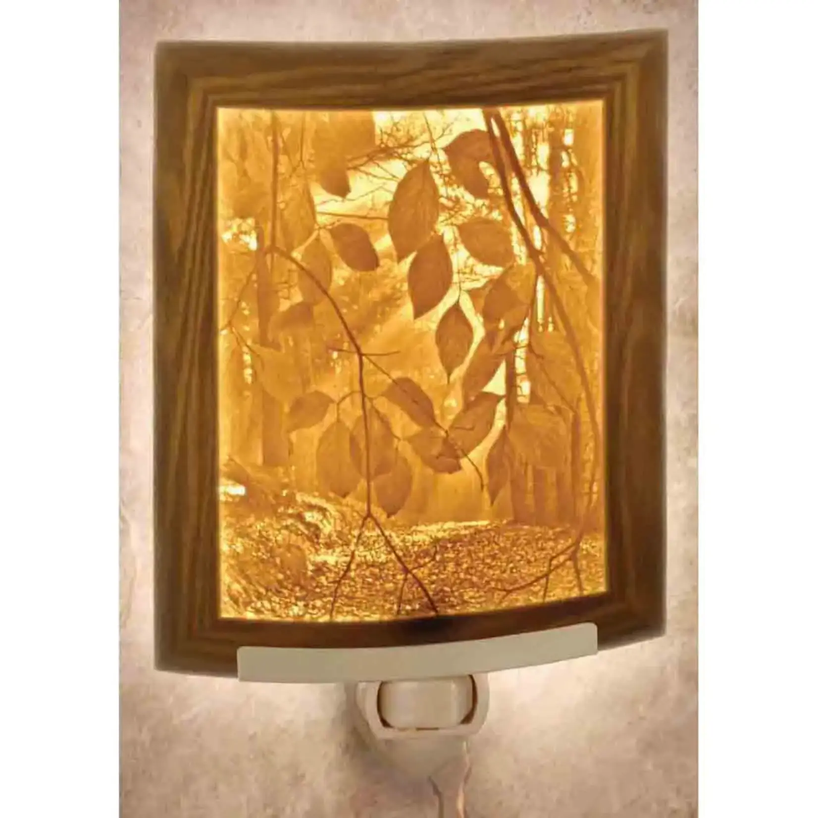 Secret Path Curved Night Light