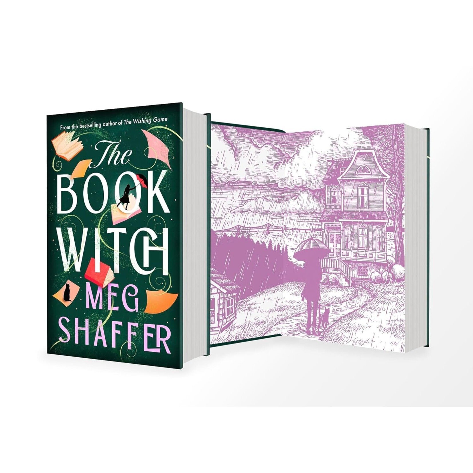 The Book Witch: A Novel