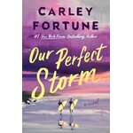 Our Perfect Storm: A Novel