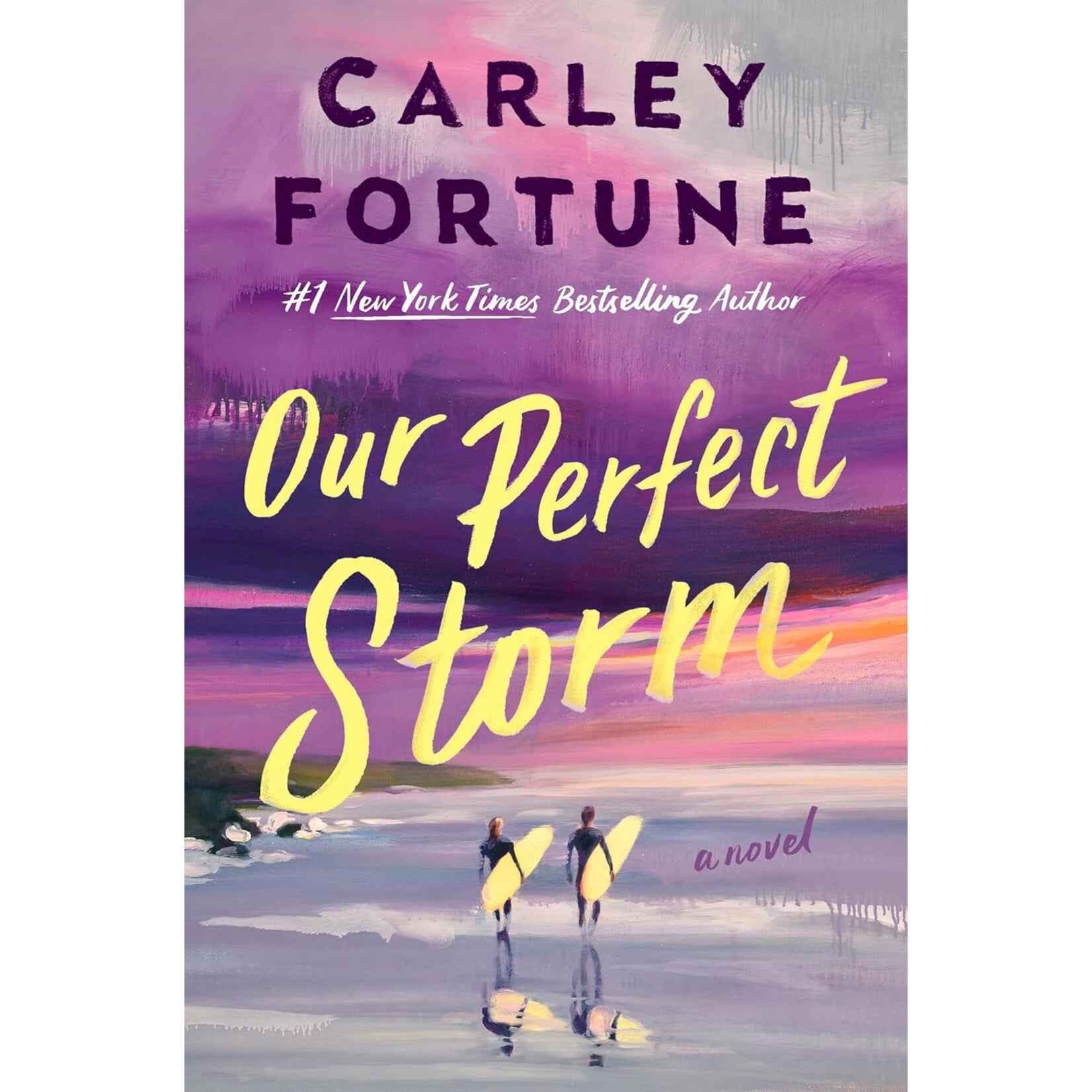 Our Perfect Storm: A Novel