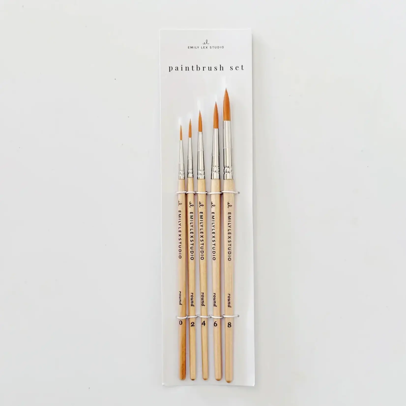 emily lex studio Watercolor Paintbrush Set of Five Wood Brushes