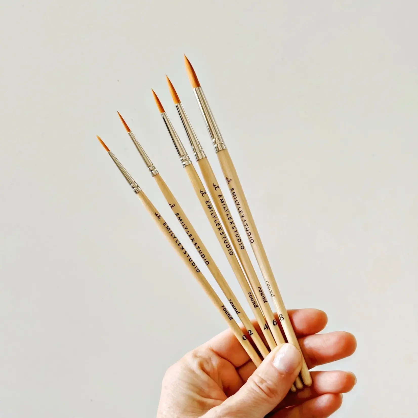 emily lex studio Watercolor Paintbrush Set of Five Wood Brushes