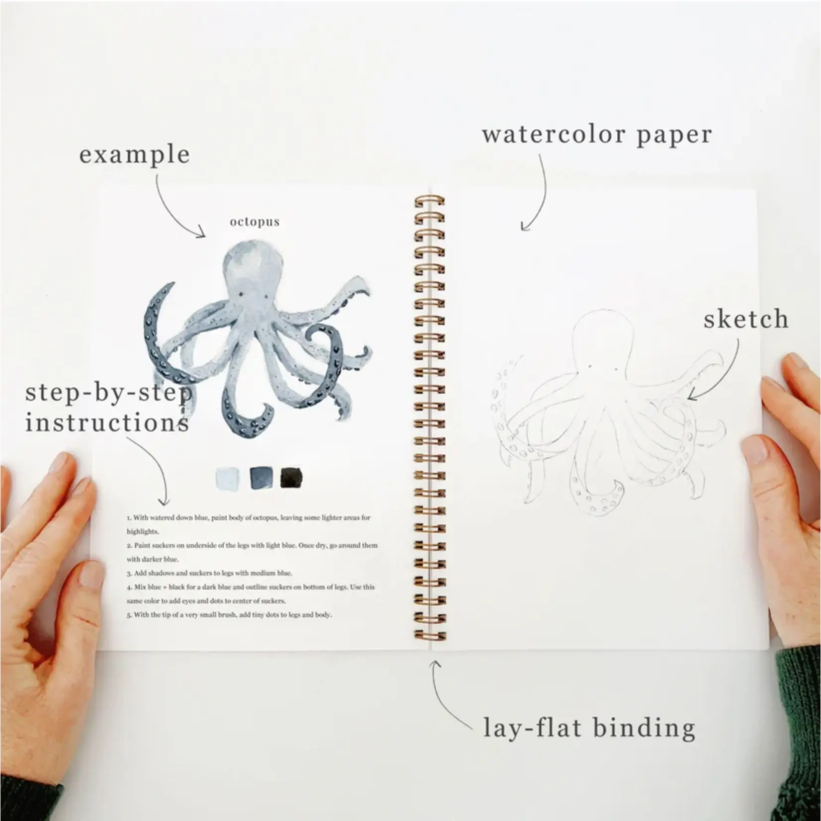 emily lex studio Seaside Watercolor Workbook