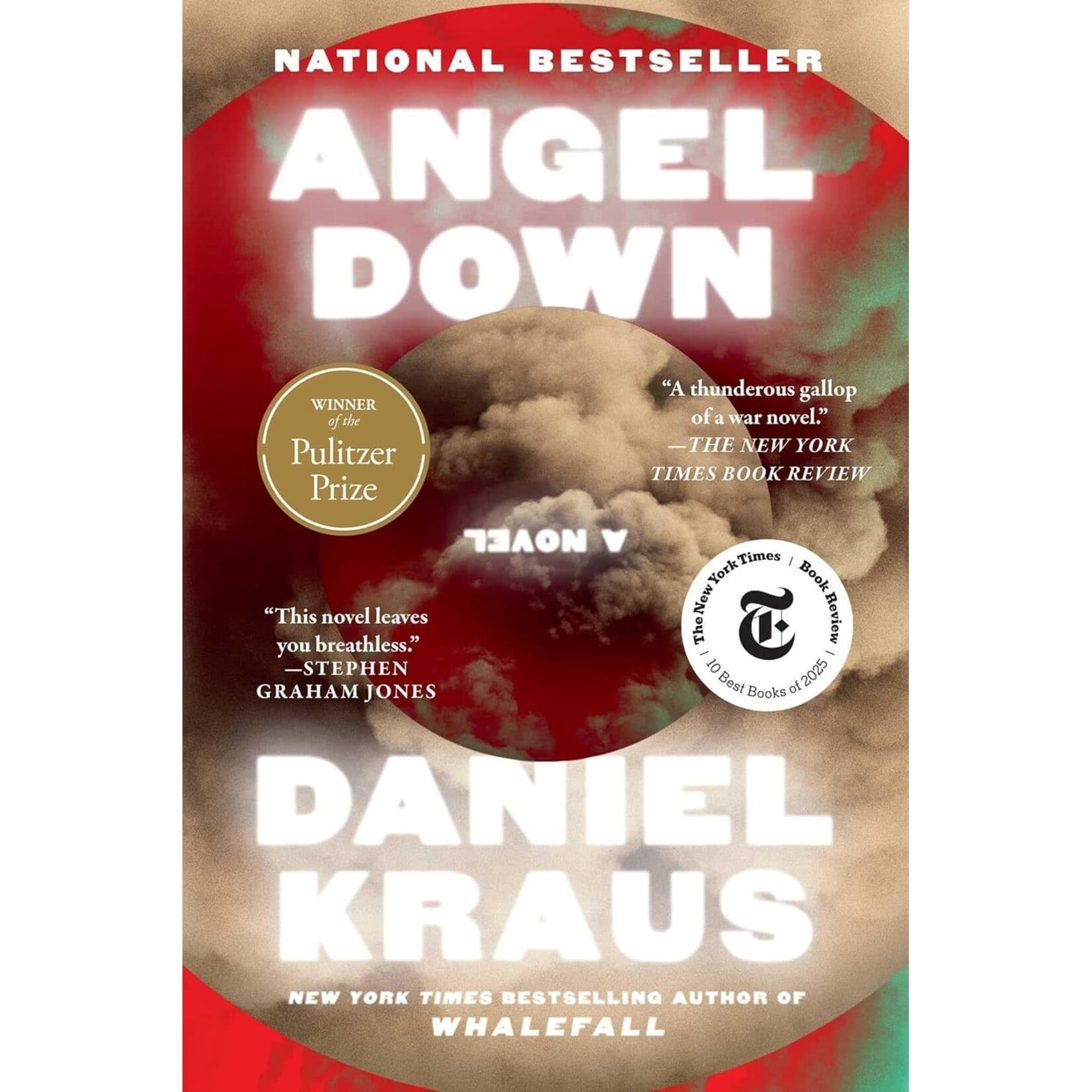 Angel Down: A Novel