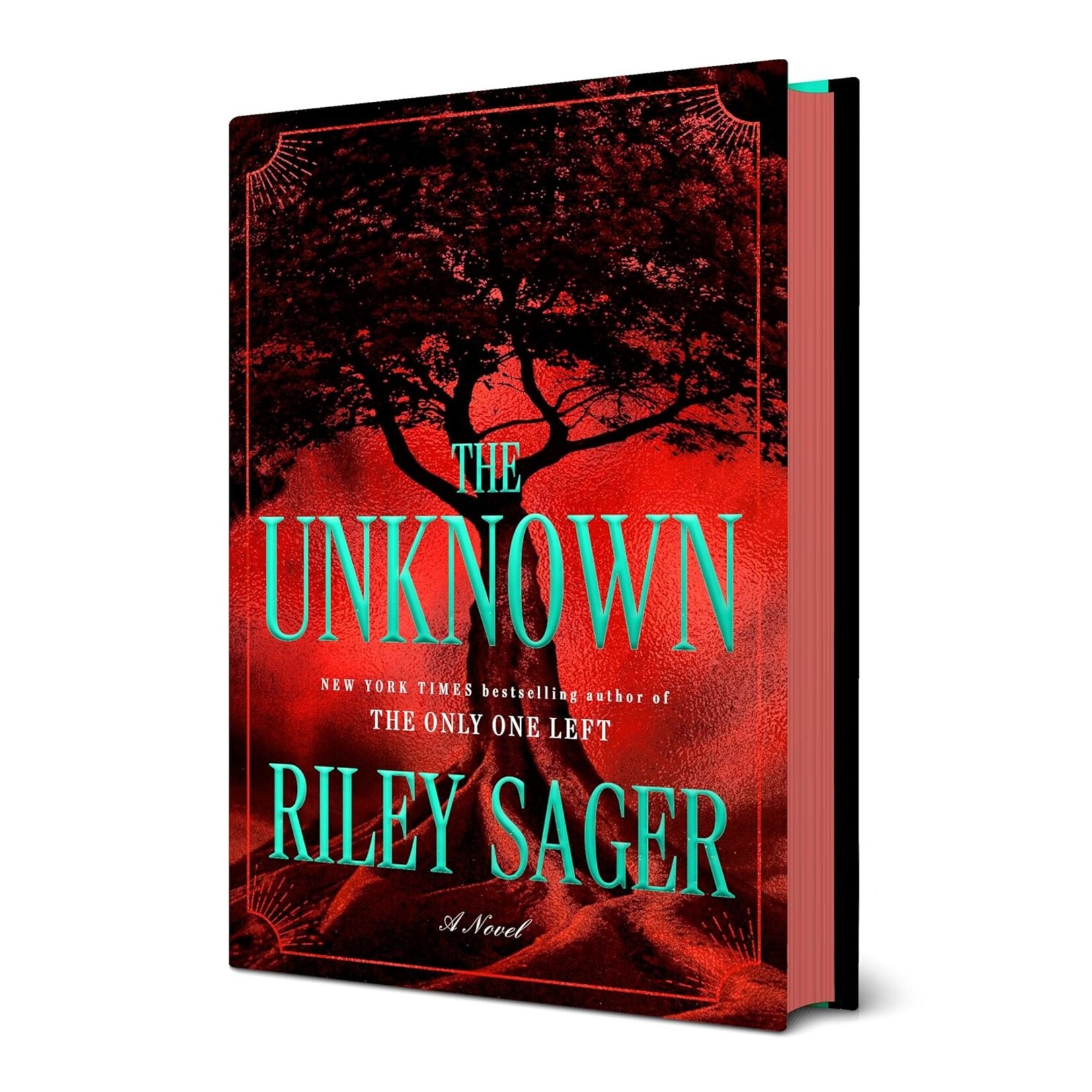 The Unknown: A Novel
