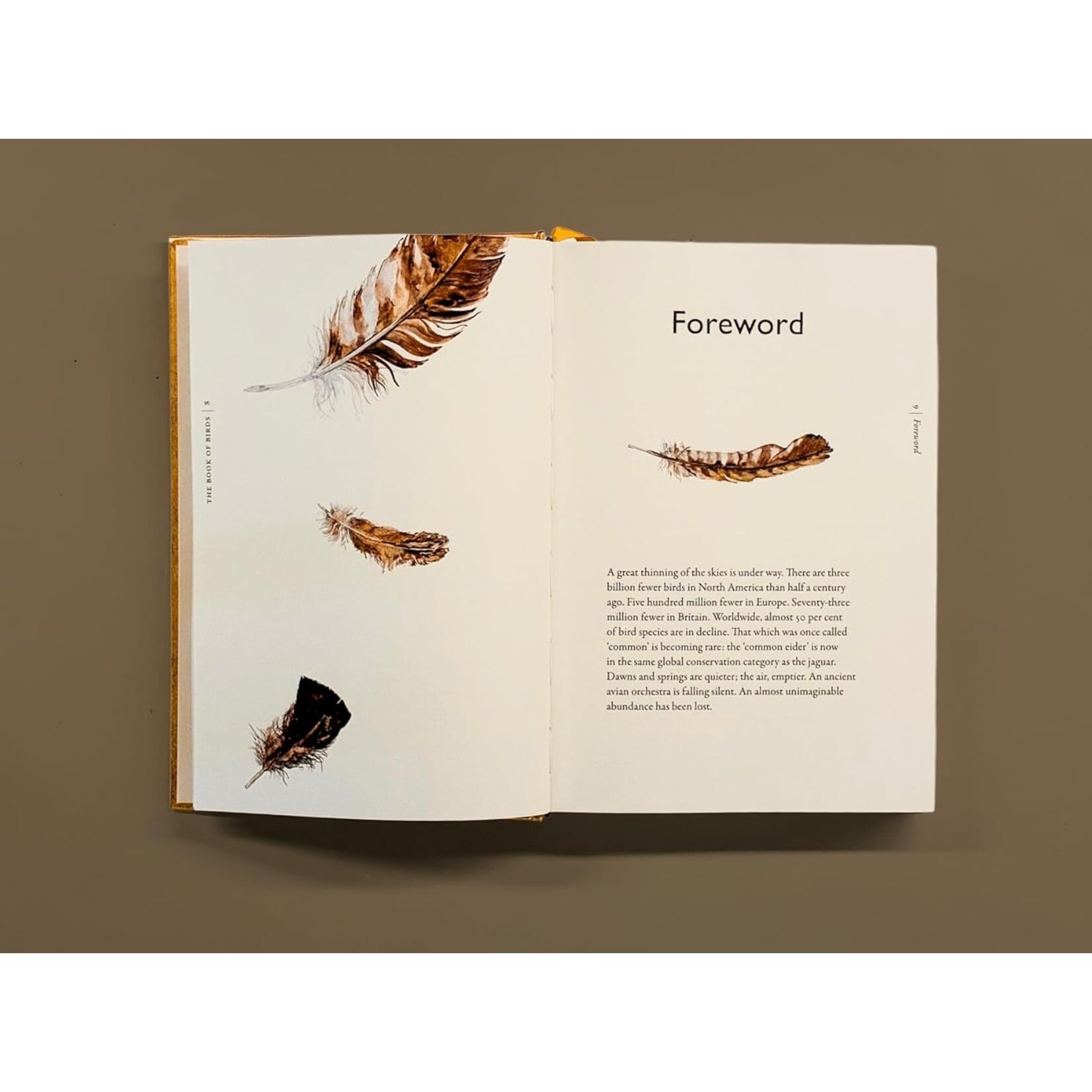 The Book of Birds: A Field Guide to Wonder and Loss