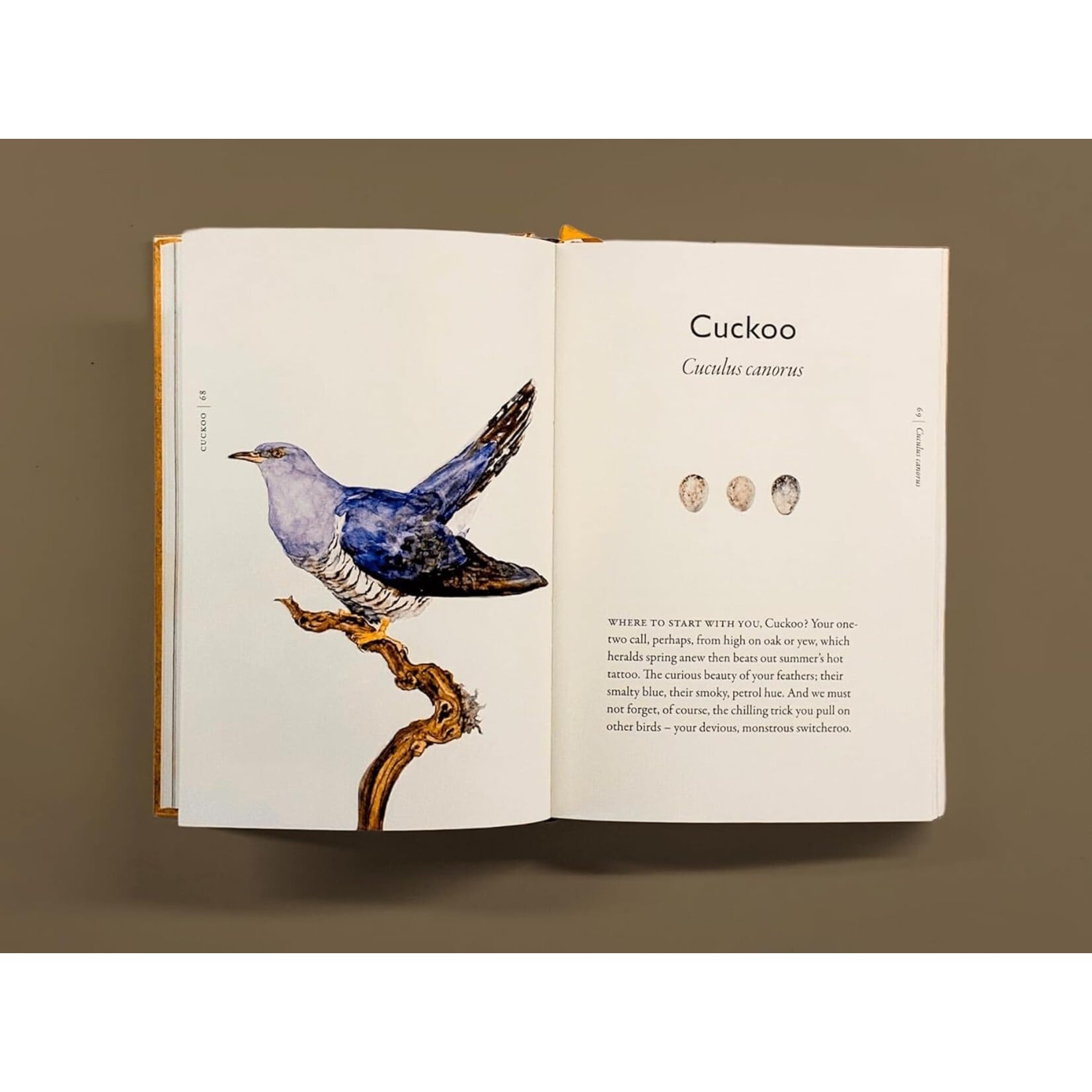 The Book of Birds: A Field Guide to Wonder and Loss