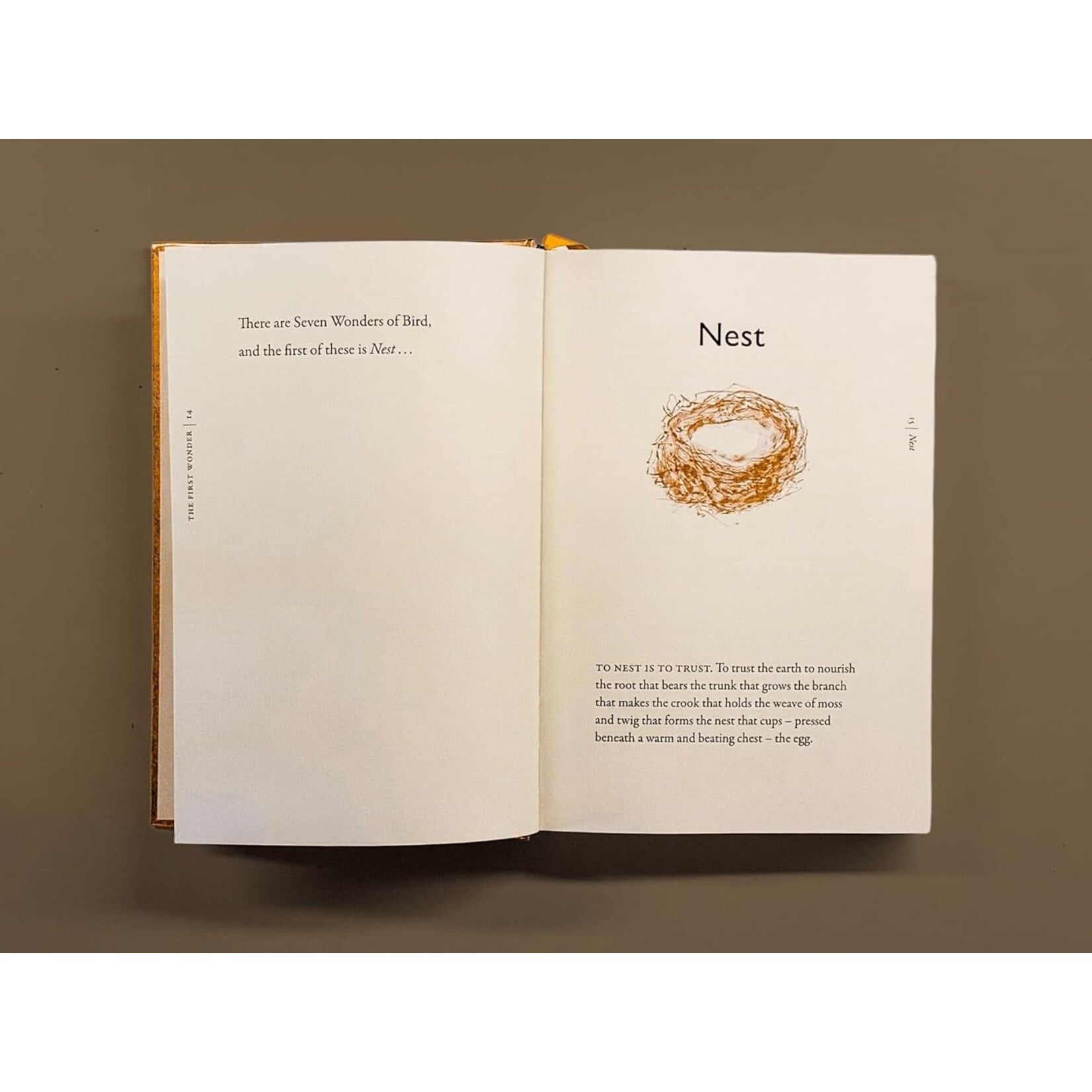The Book of Birds: A Field Guide to Wonder and Loss