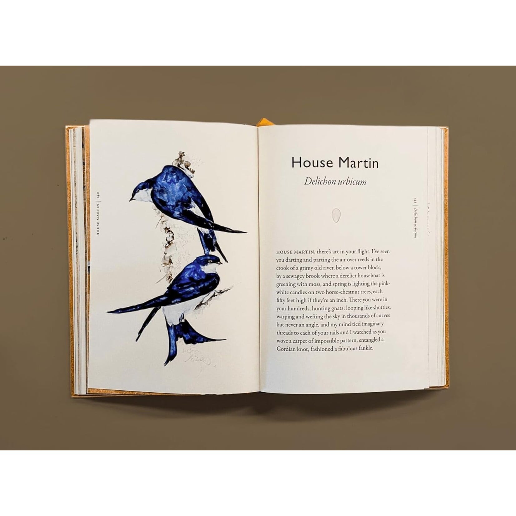 The Book of Birds: A Field Guide to Wonder and Loss