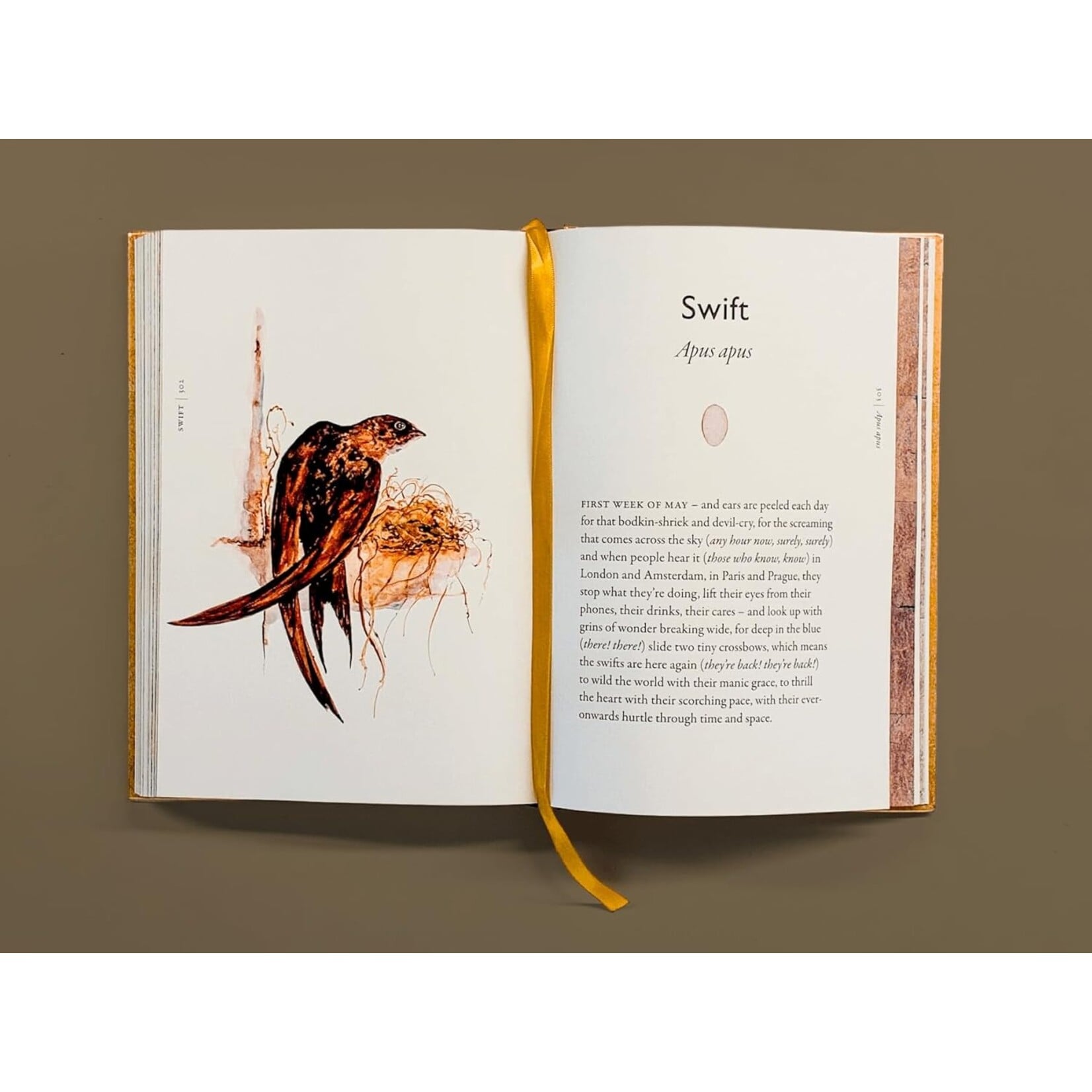 The Book of Birds: A Field Guide to Wonder and Loss