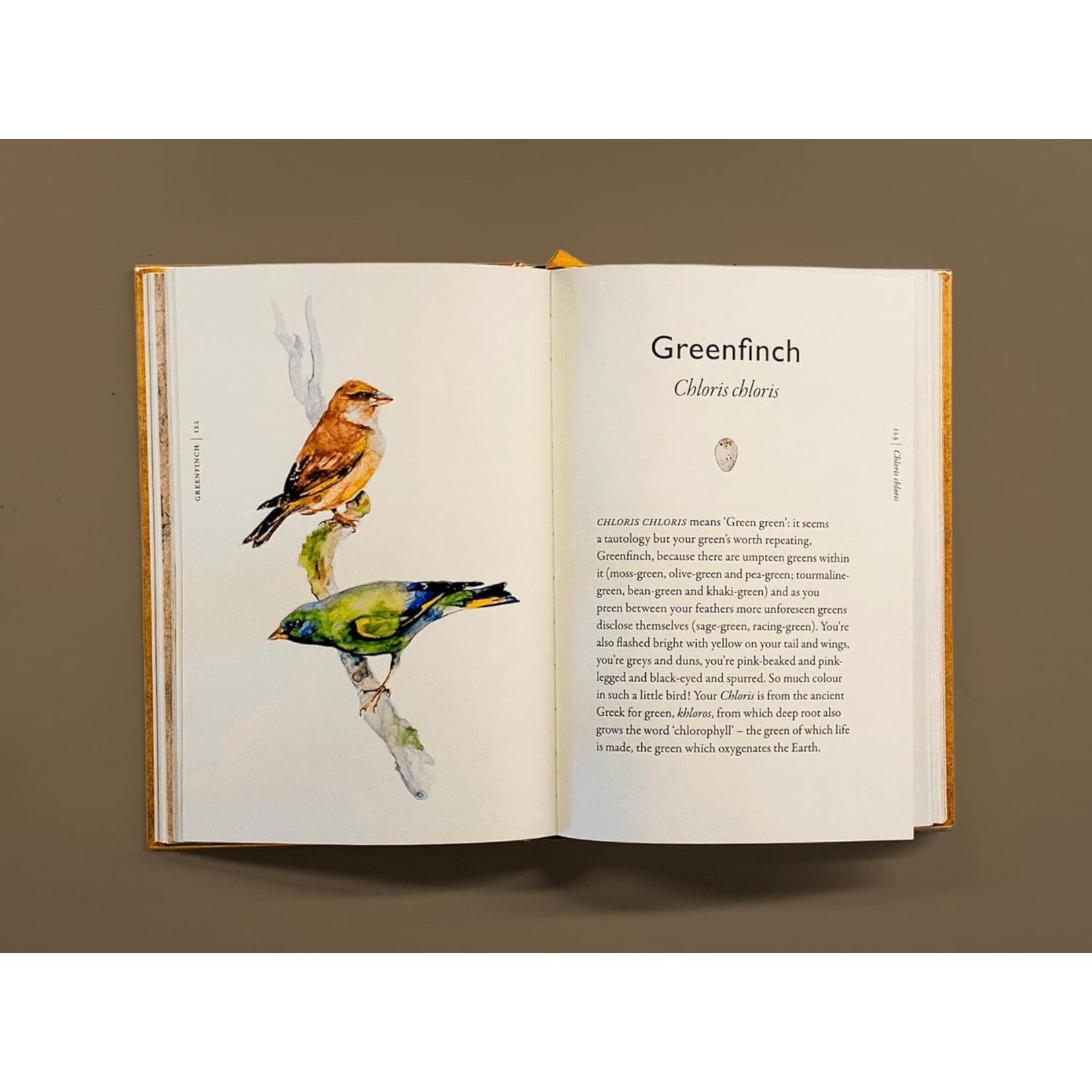 The Book of Birds: A Field Guide to Wonder and Loss
