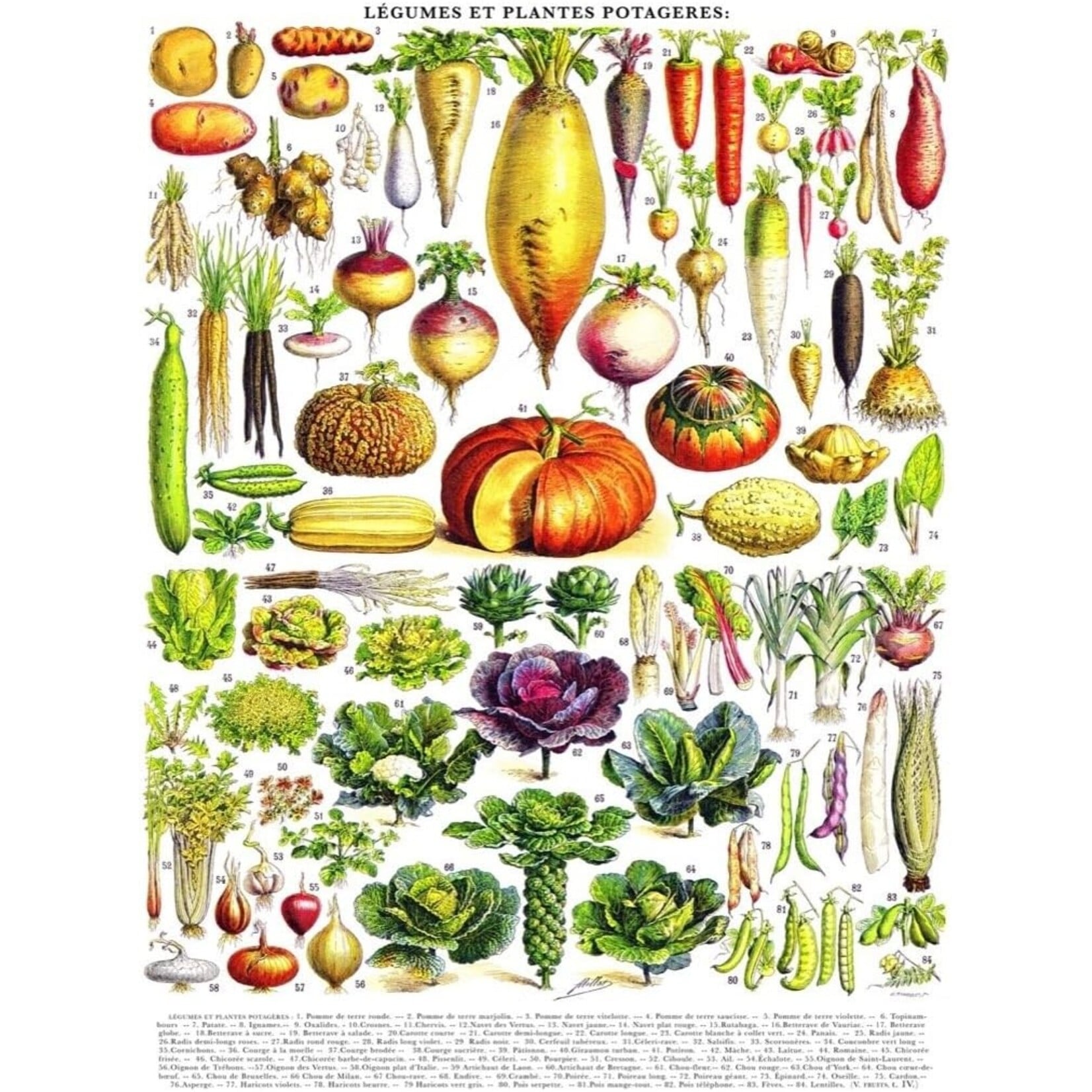 Vegetables ~ Légumes - 1000 Piece Puzzle