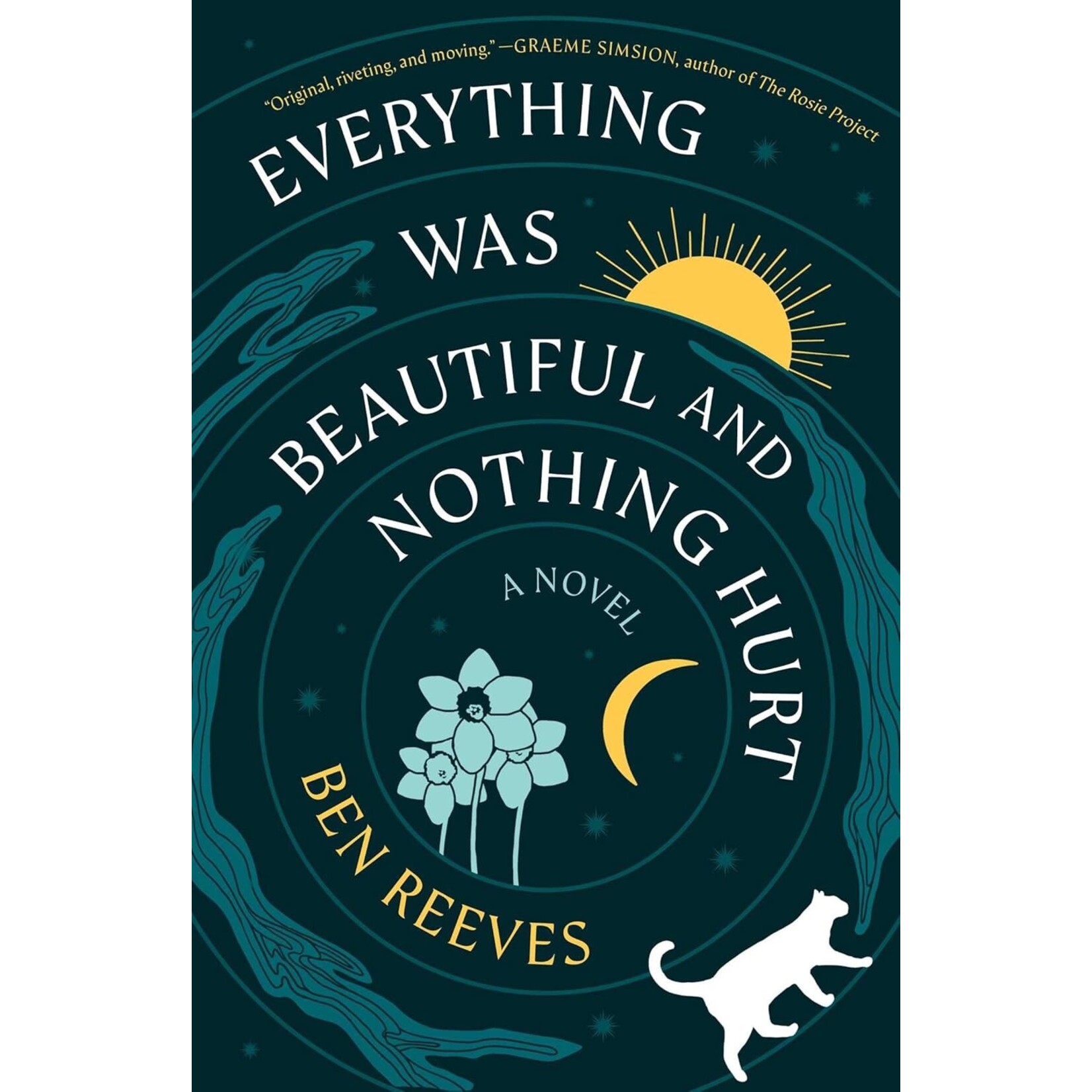 Everything Was Beautiful and Nothing Hurt: A Novel