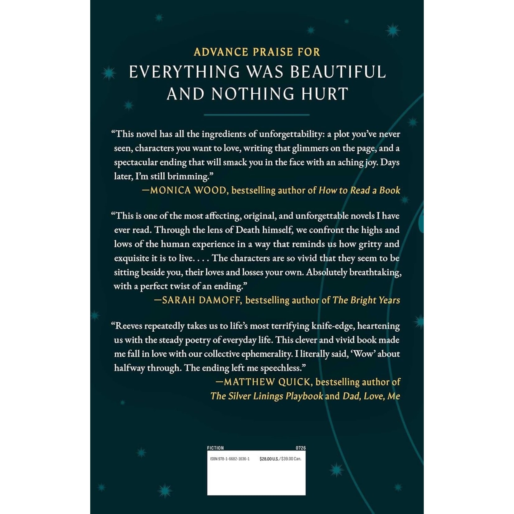 Everything Was Beautiful and Nothing Hurt: A Novel