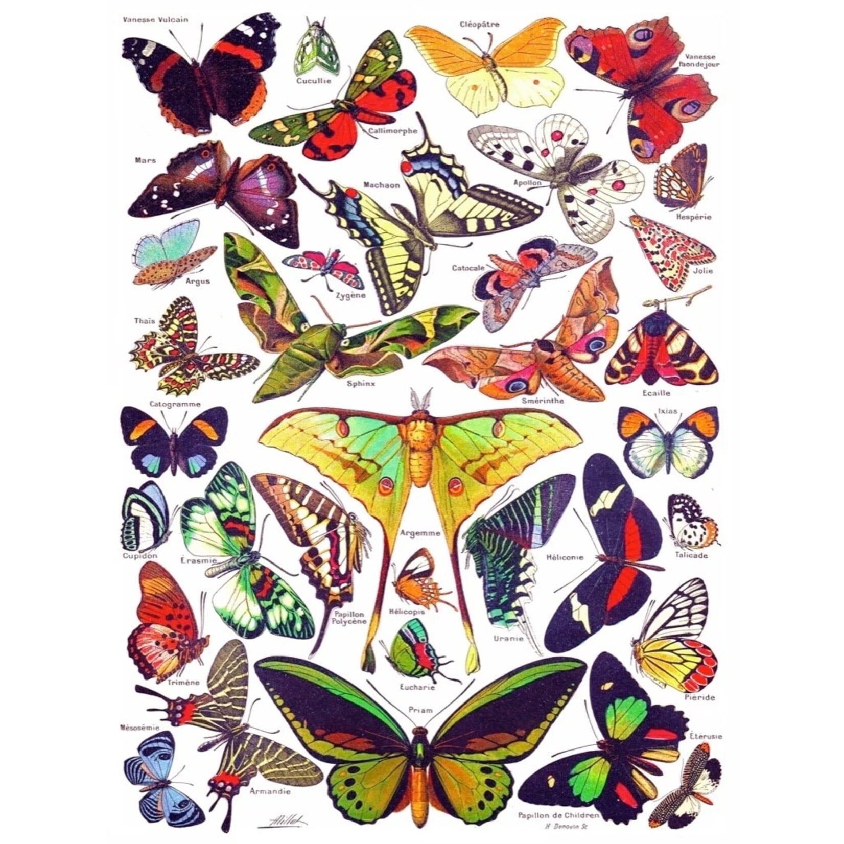 Butterflies ~ Papillons 1000 Piece Jigsaw Puzzle