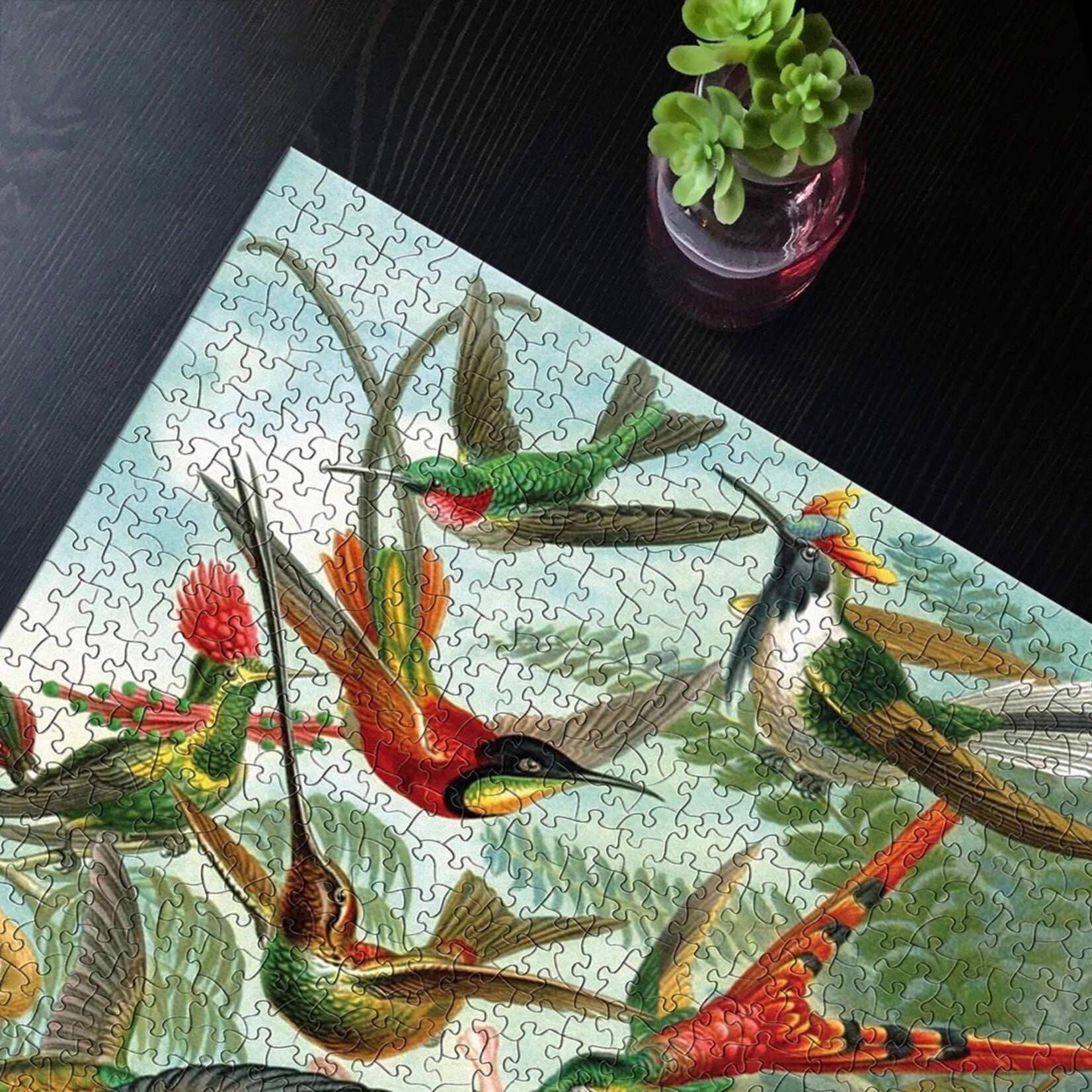 Hummingbirds - 1000 Piece Jigsaw Puzzle