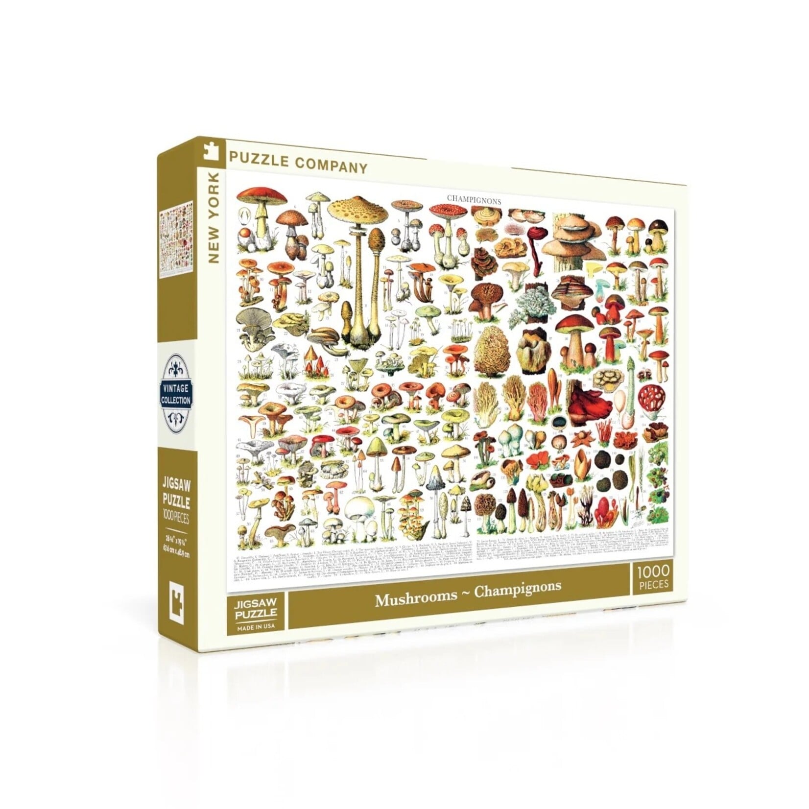 Mushrooms ~ Champignons - 1000 Piece Jigsaw Puzzle