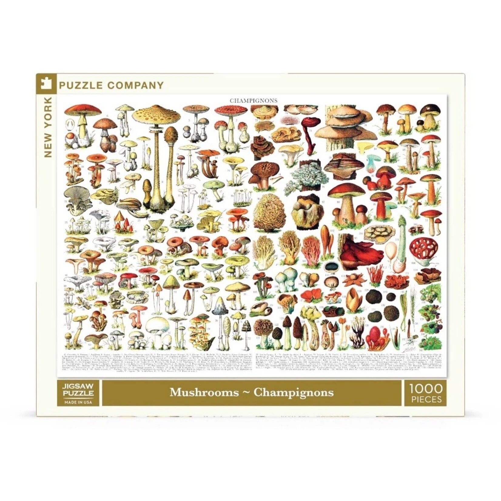 Mushrooms ~ Champignons - 1000 Piece Jigsaw Puzzle