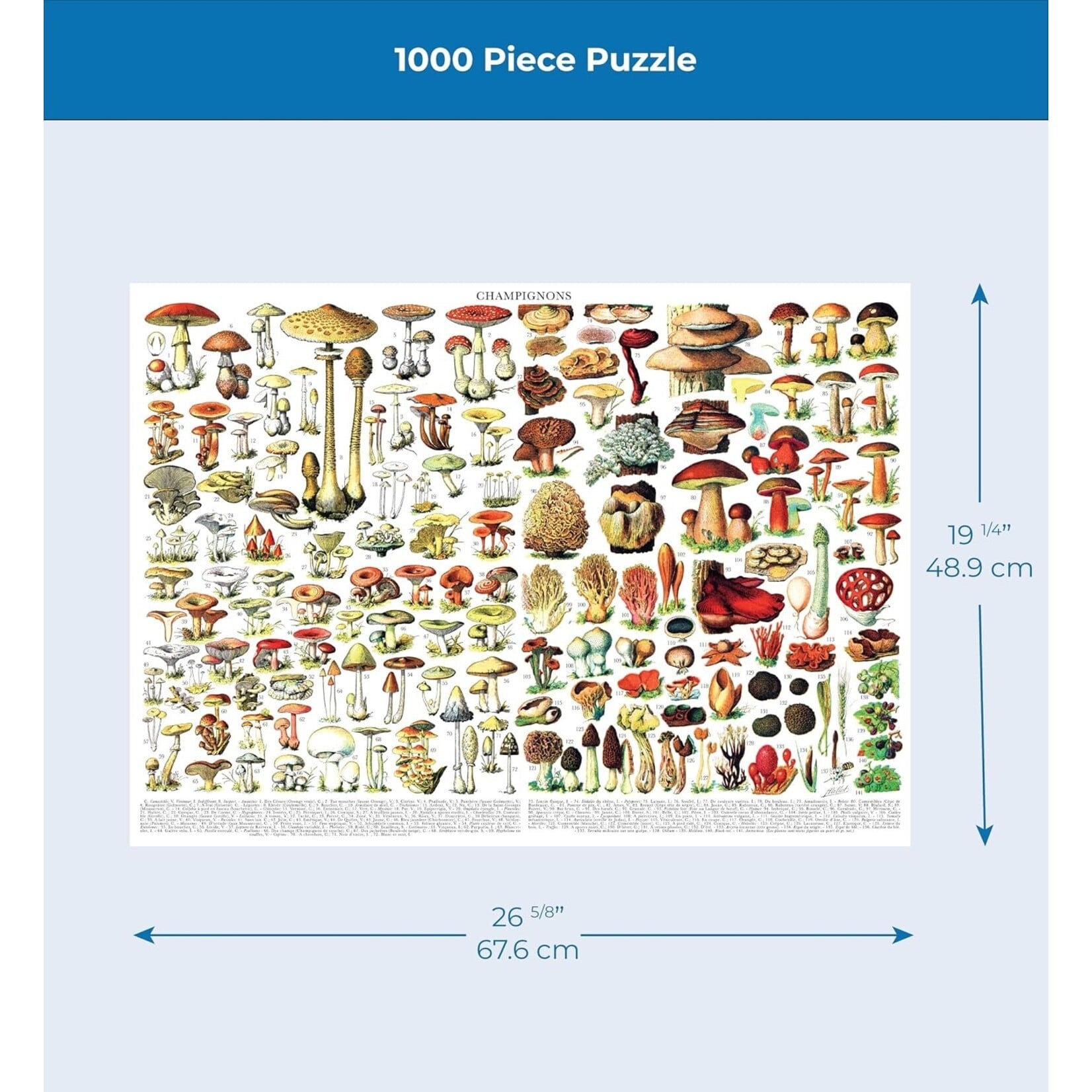 Mushrooms ~ Champignons - 1000 Piece Jigsaw Puzzle