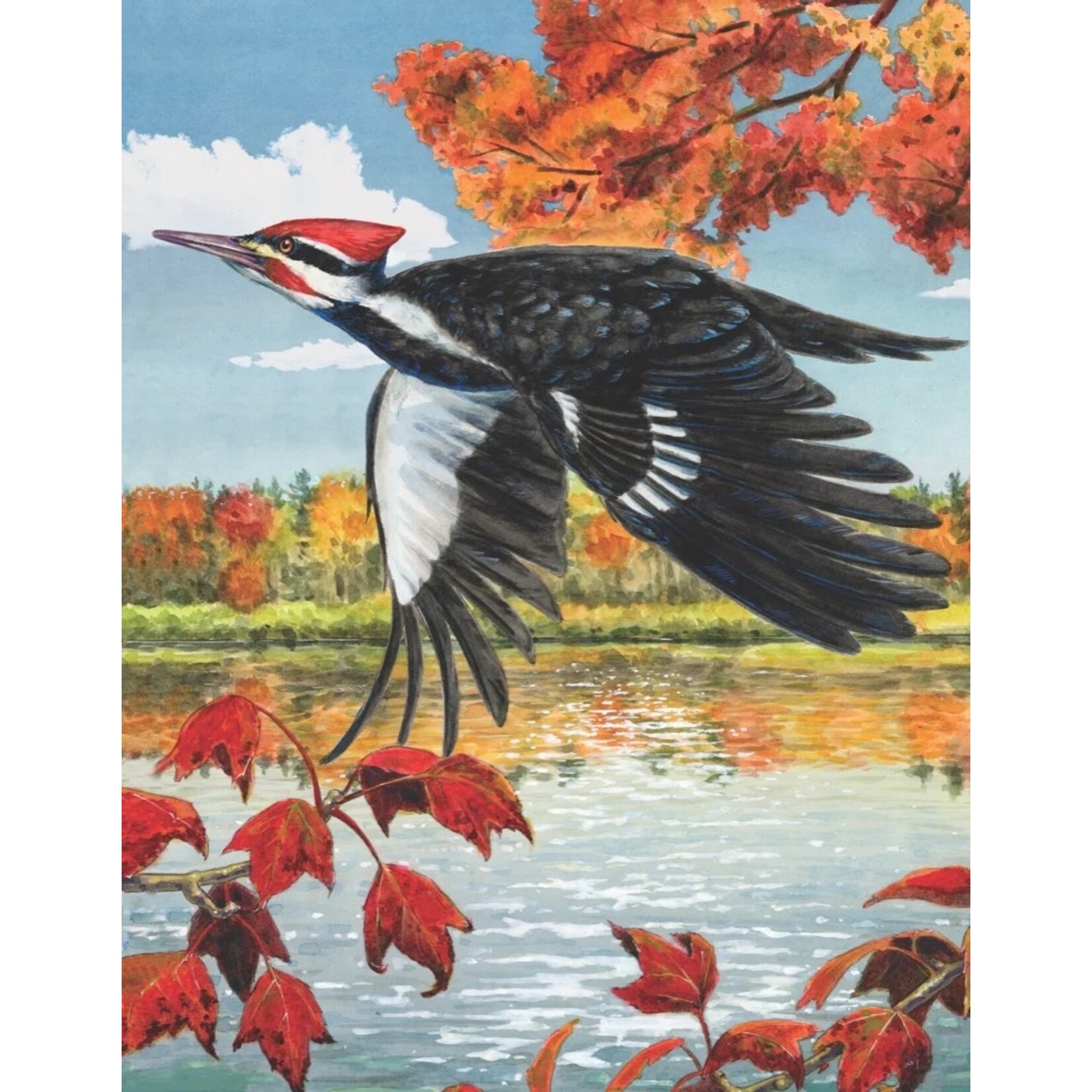 Cornell Lab | Pileated Woodpecker - 100 Piece Mini Puzzle